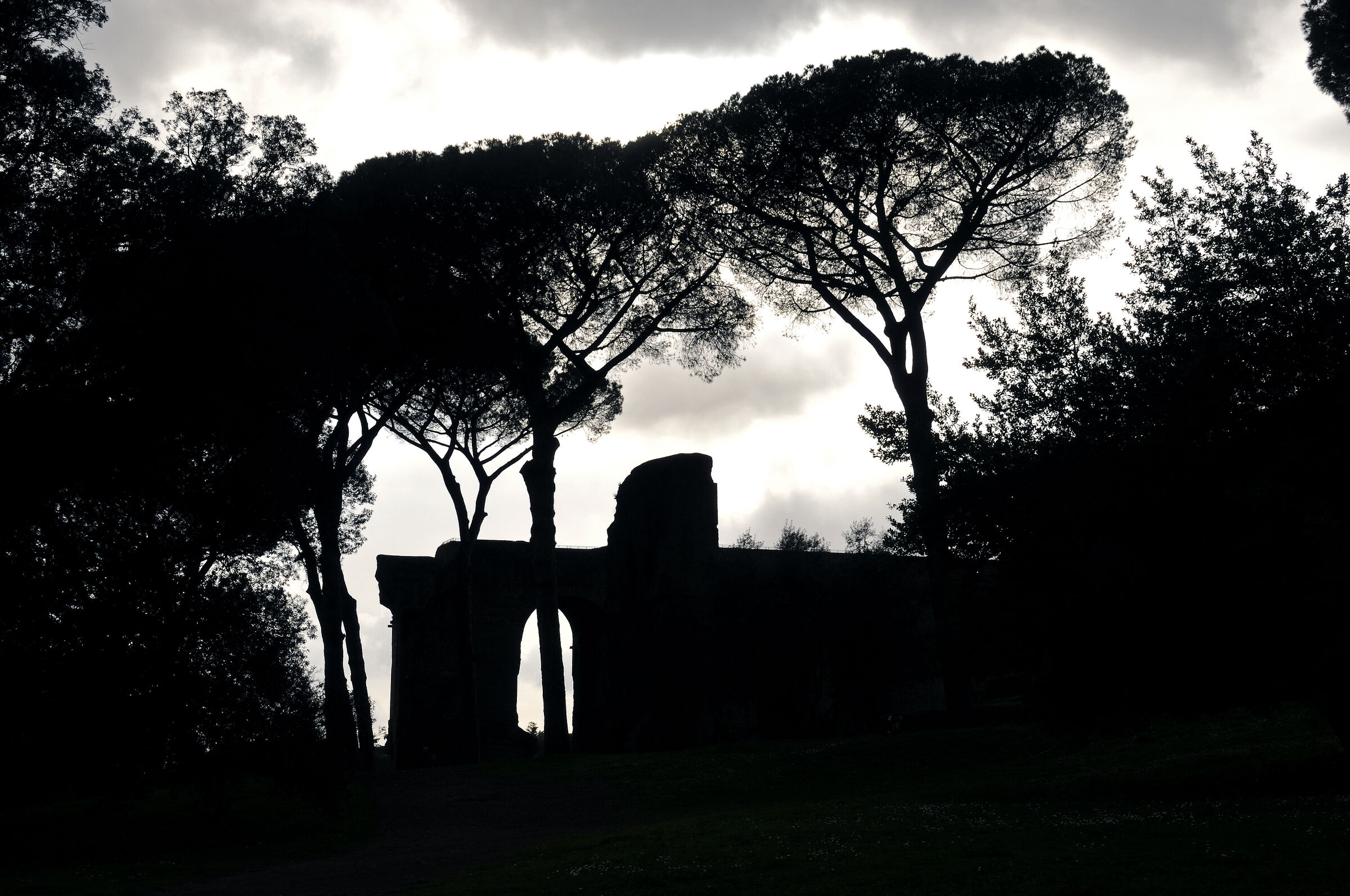 rom 2023 – palatin (01)