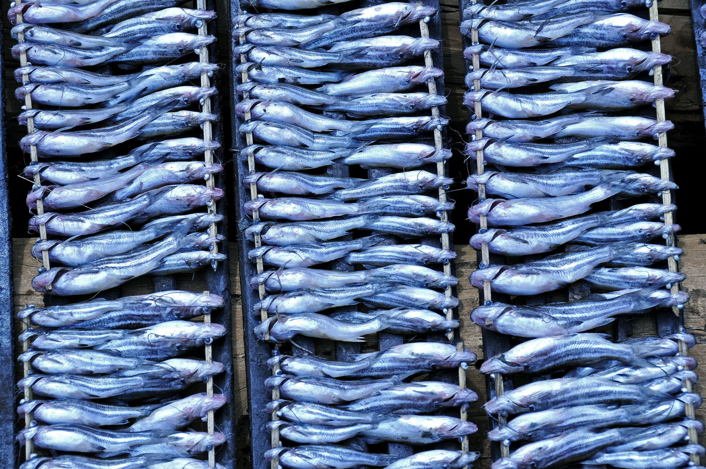 siem reap (68) – kampong khleang