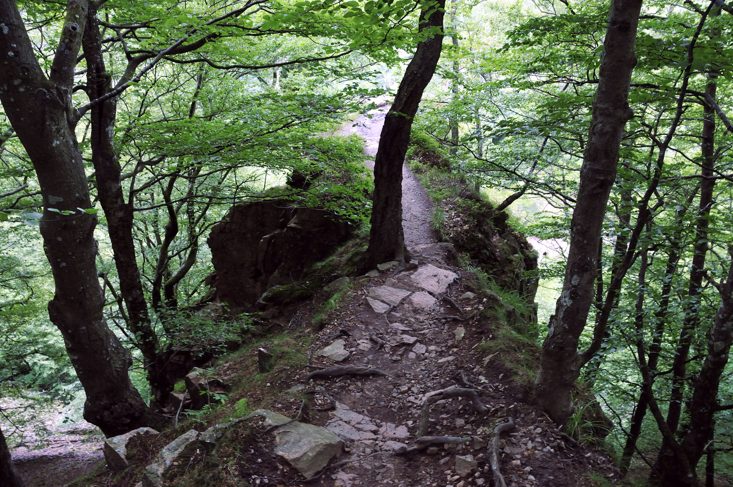 schweden 2017 - (07)