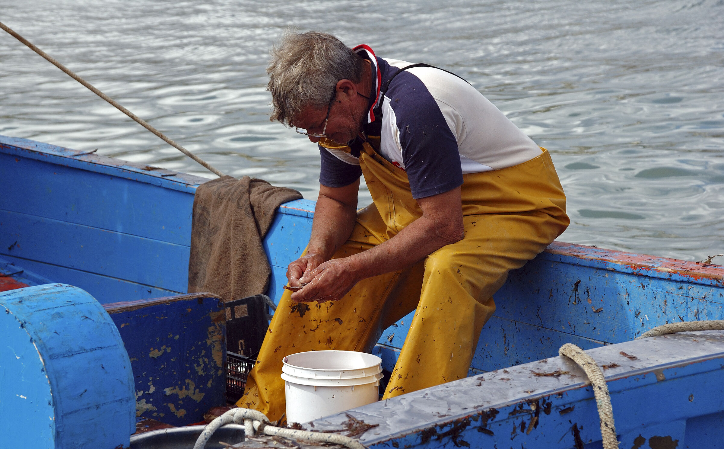 salent (35) - die fischer teil zwei