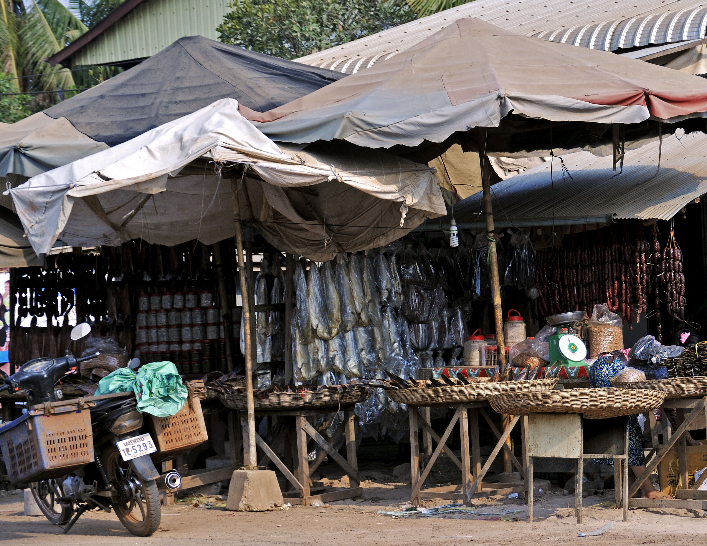 siem reap (17) – unterwegs