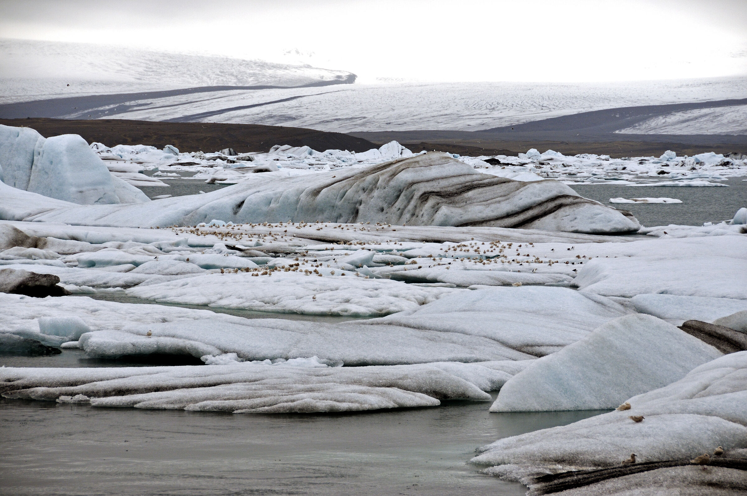 island – jökulsárlón (01)