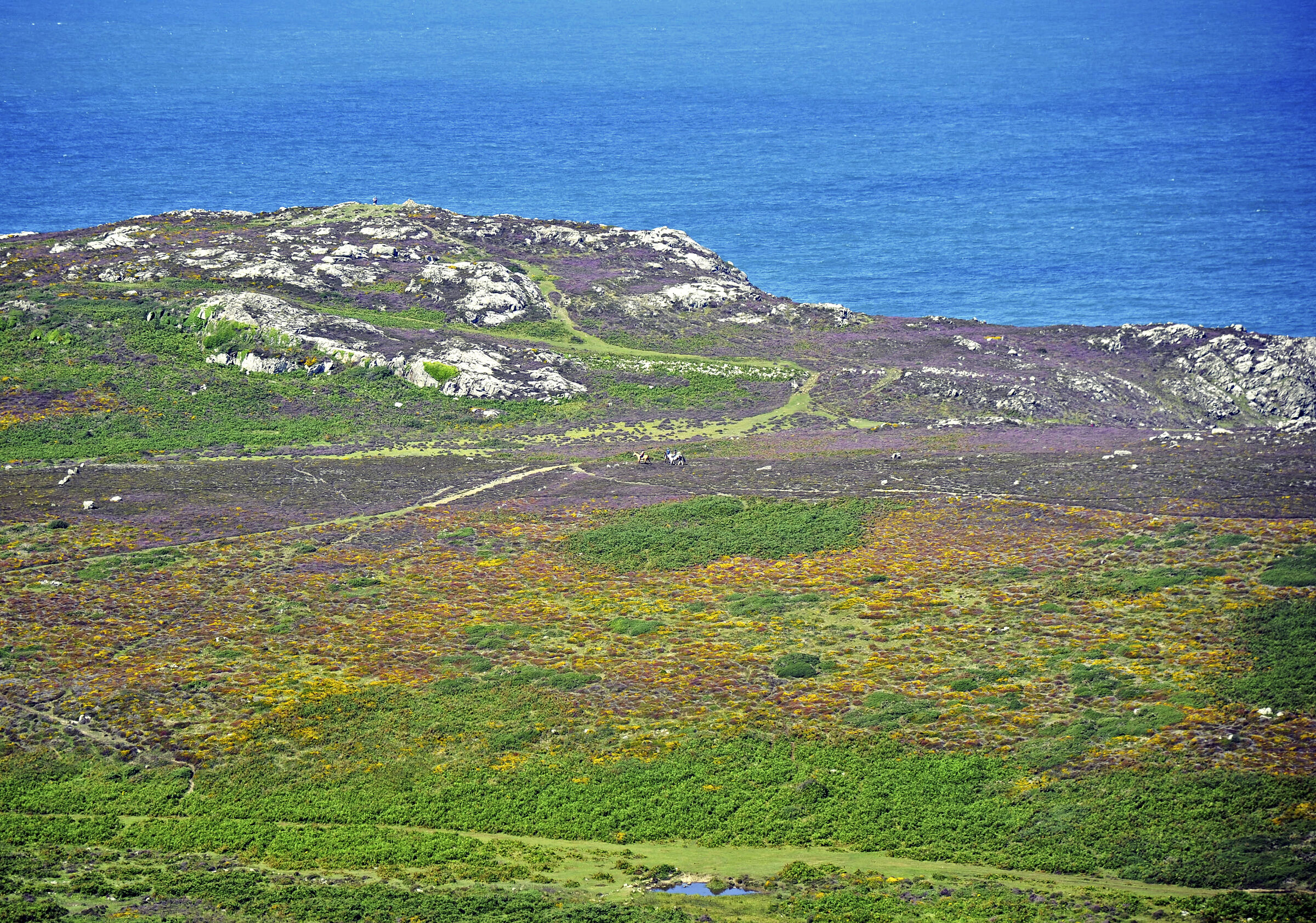 wales – whitesands bay (11)