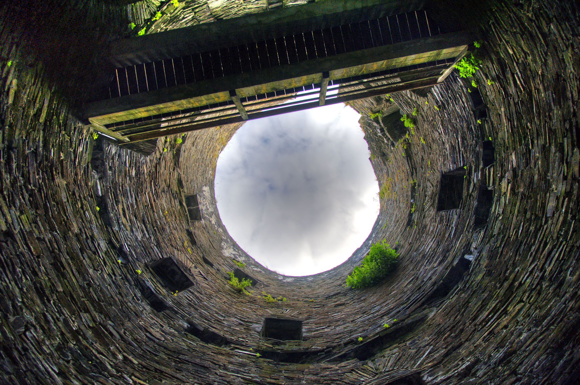 wales – cilgerran castle (11)