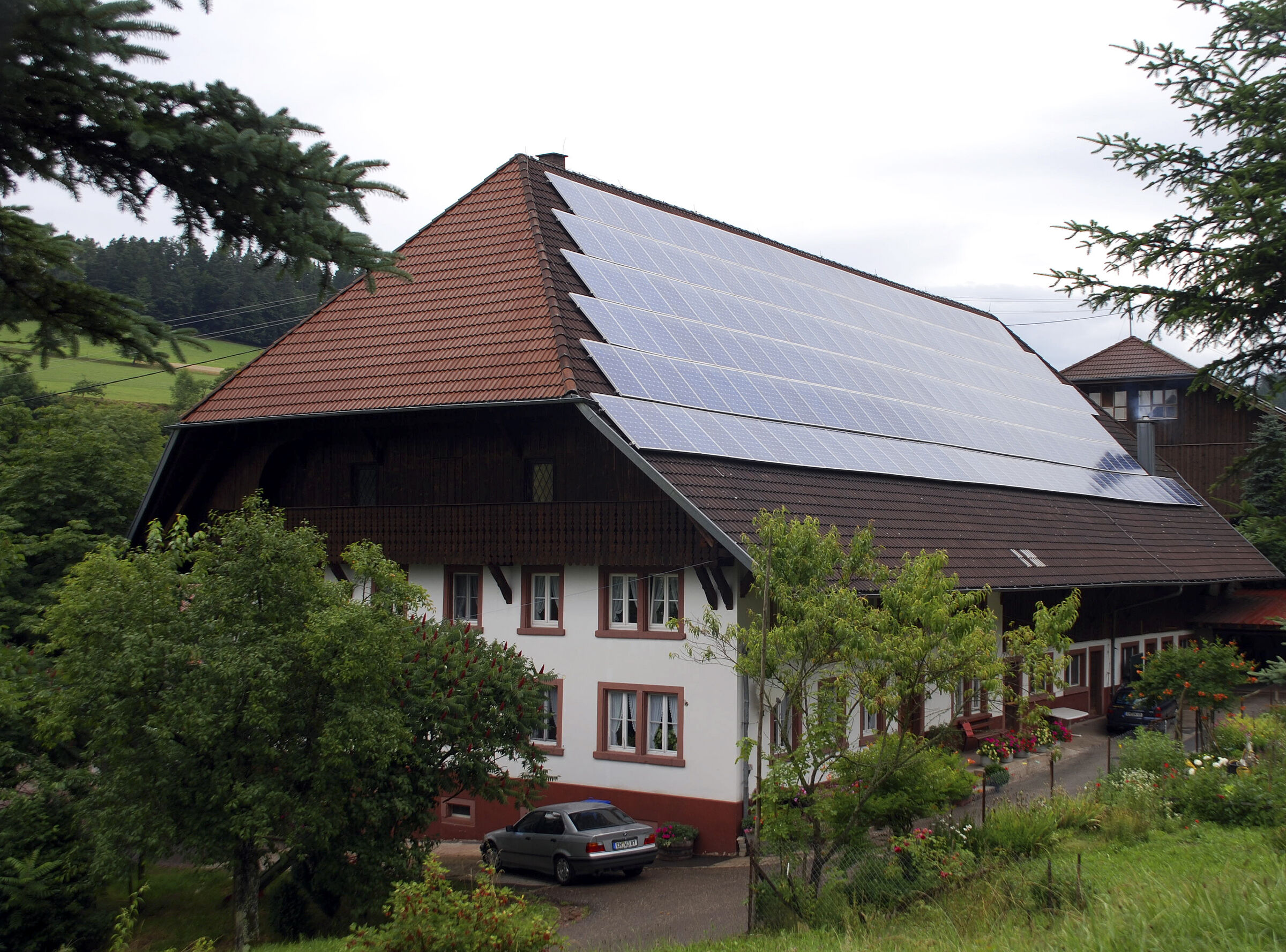 schwarzwald