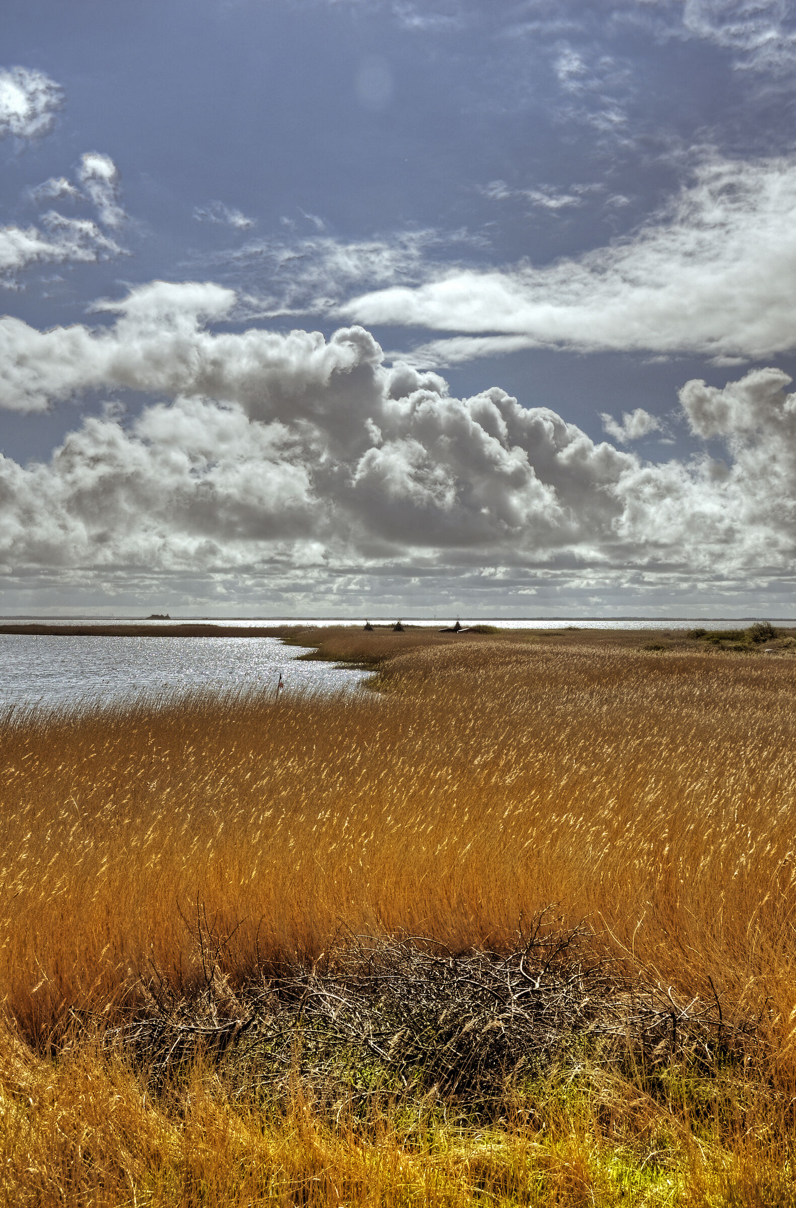 dänemark - ringkobing fjord - holmland klit (04)