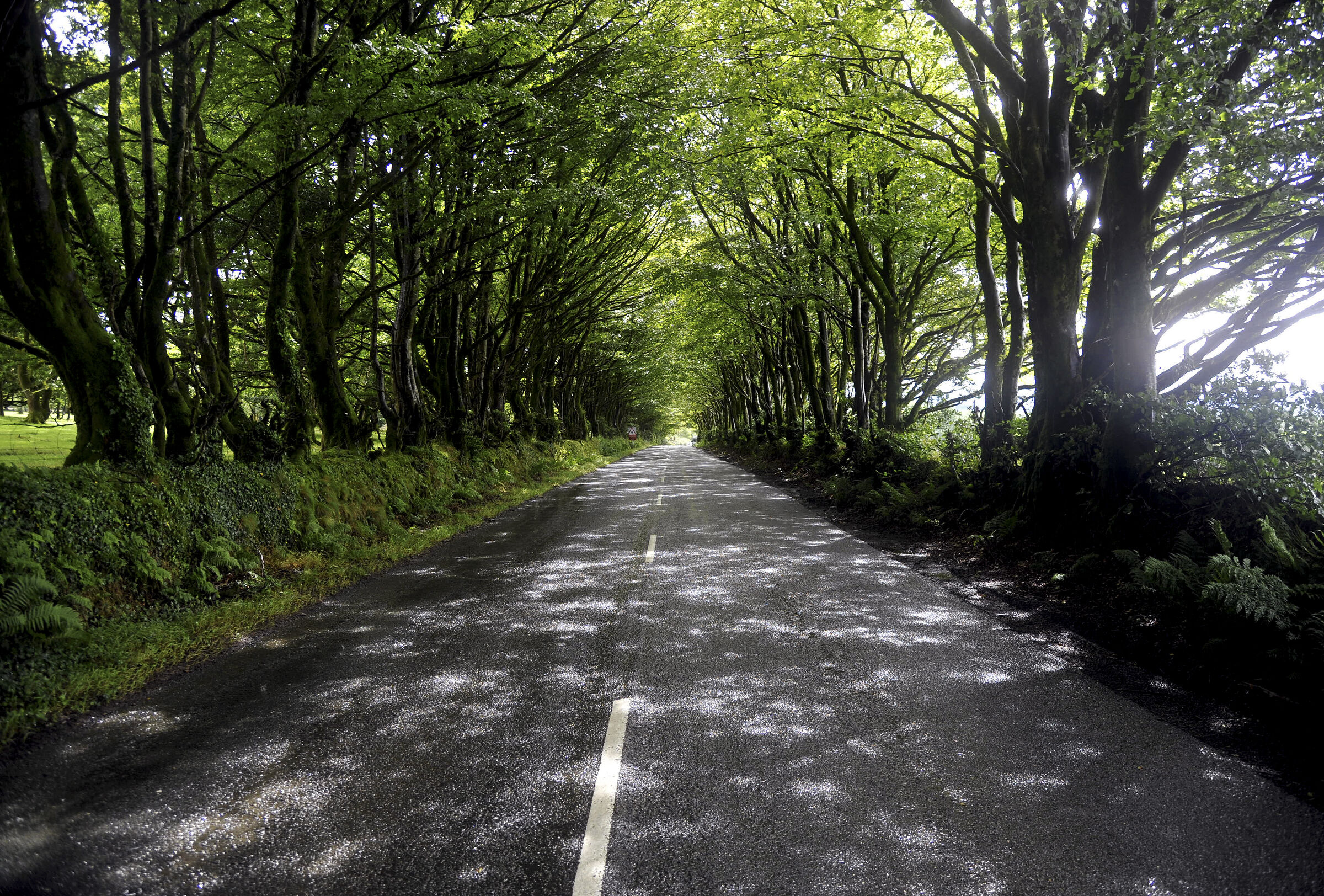 england – cornwall (17)