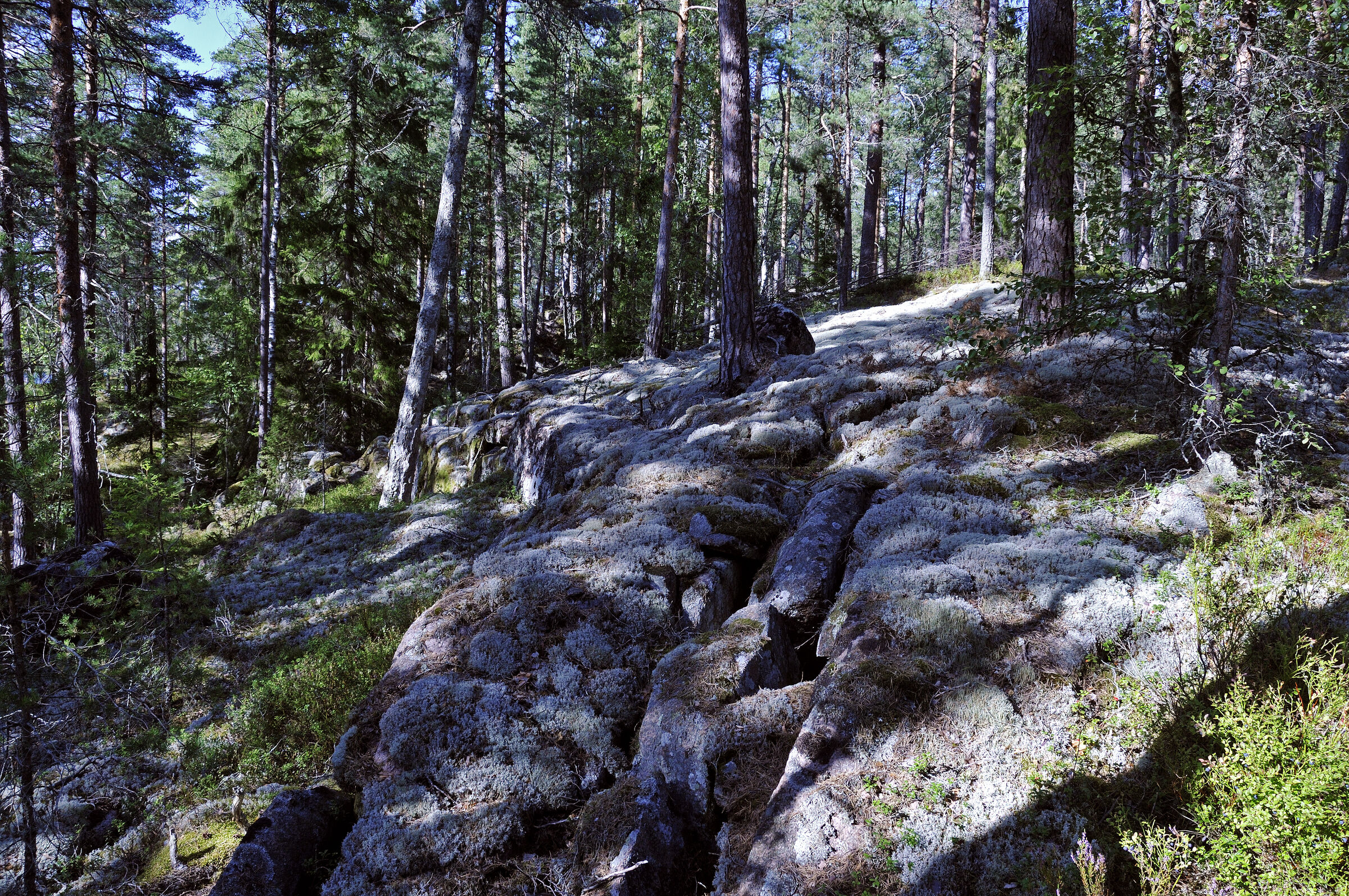 schweden 2017 - (52)