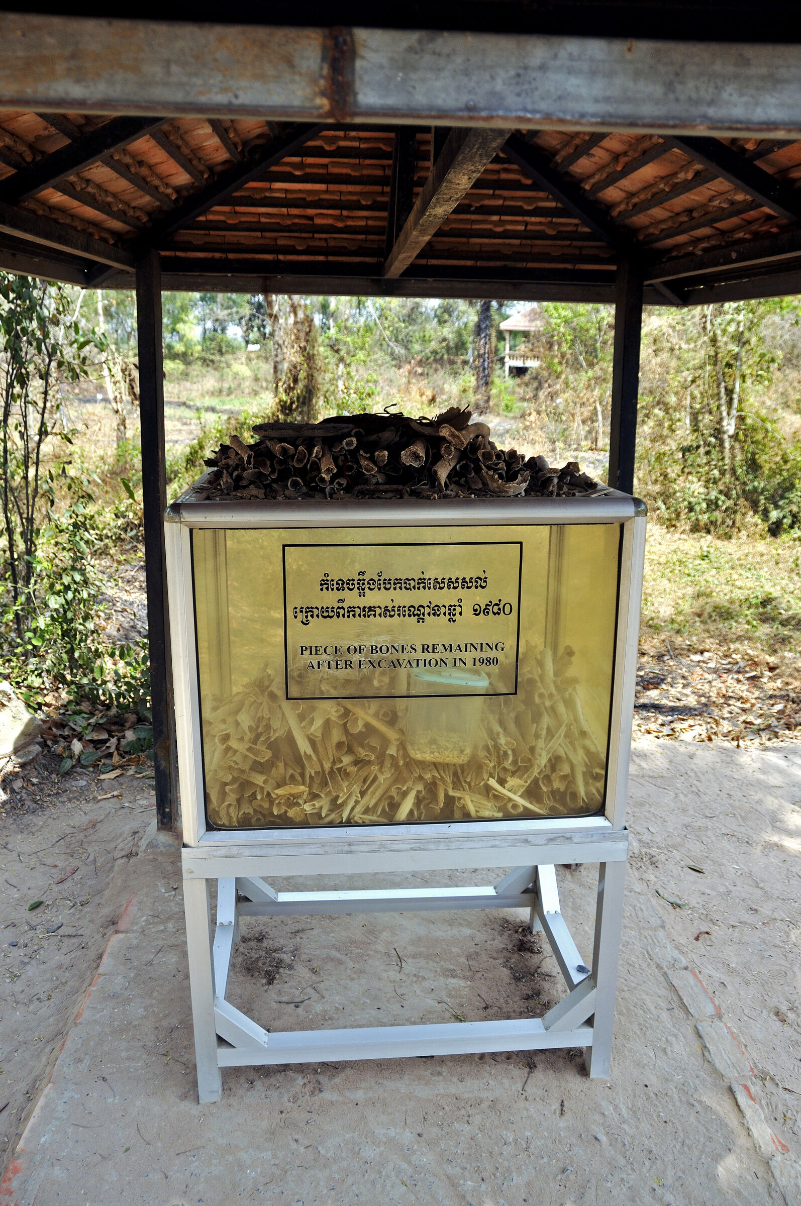 phnom penh - killing fields choeung ek (09)