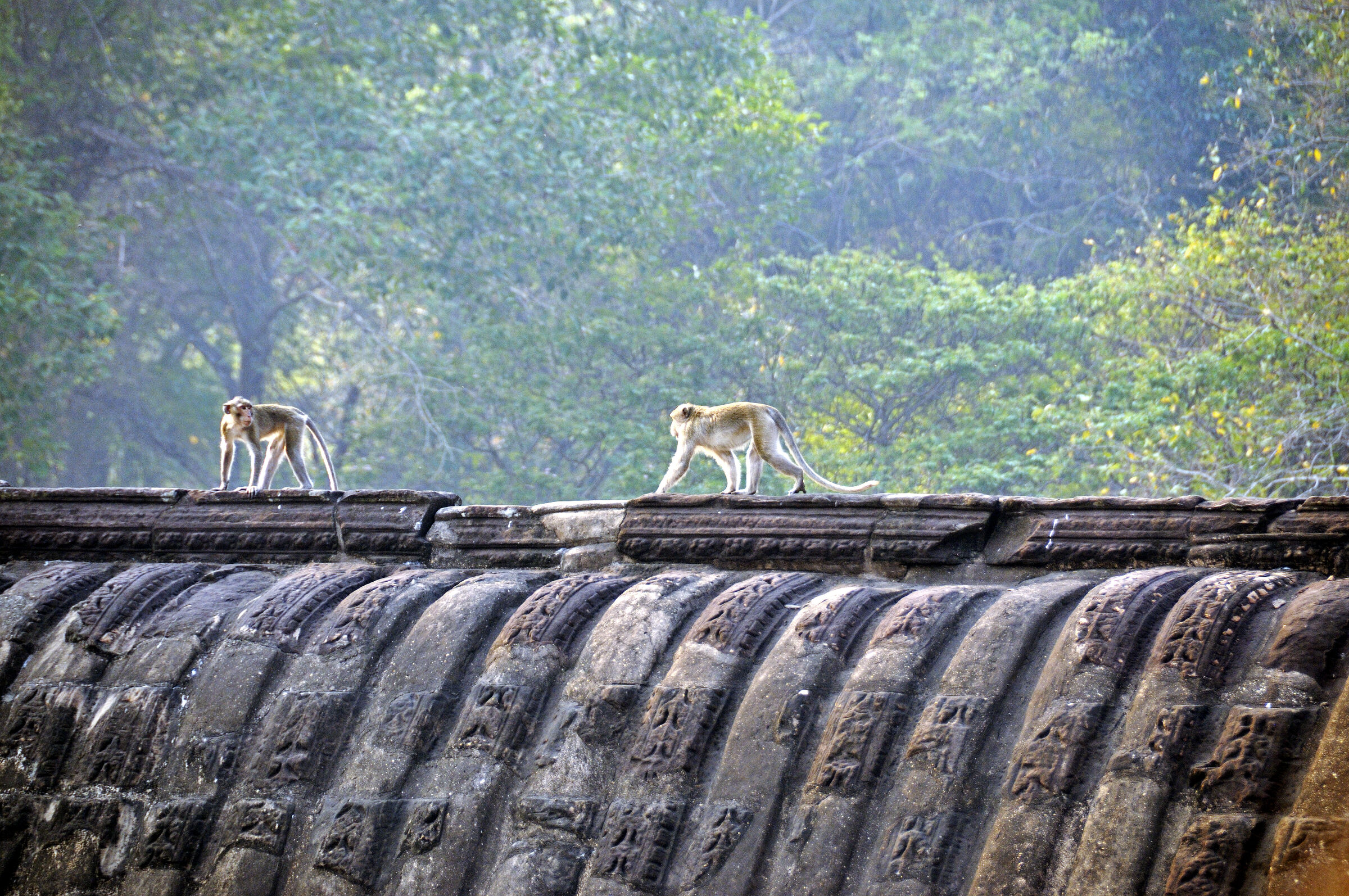 kambodscha - tempel von angkor - angkor wat (45)