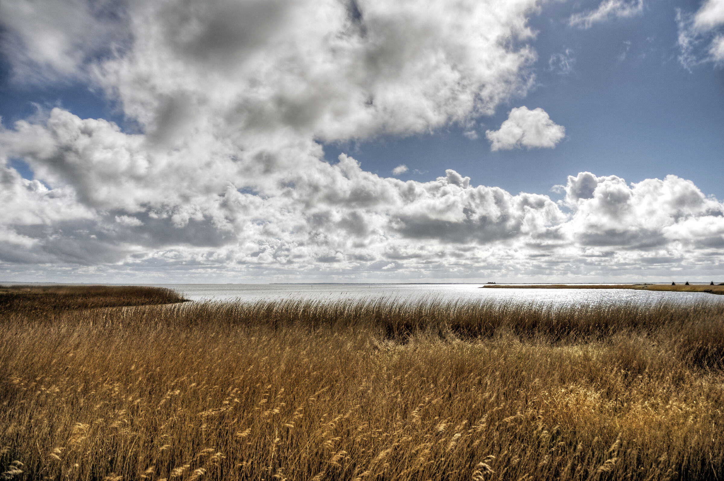 dänemark - ringkobing fjord - holmland klit