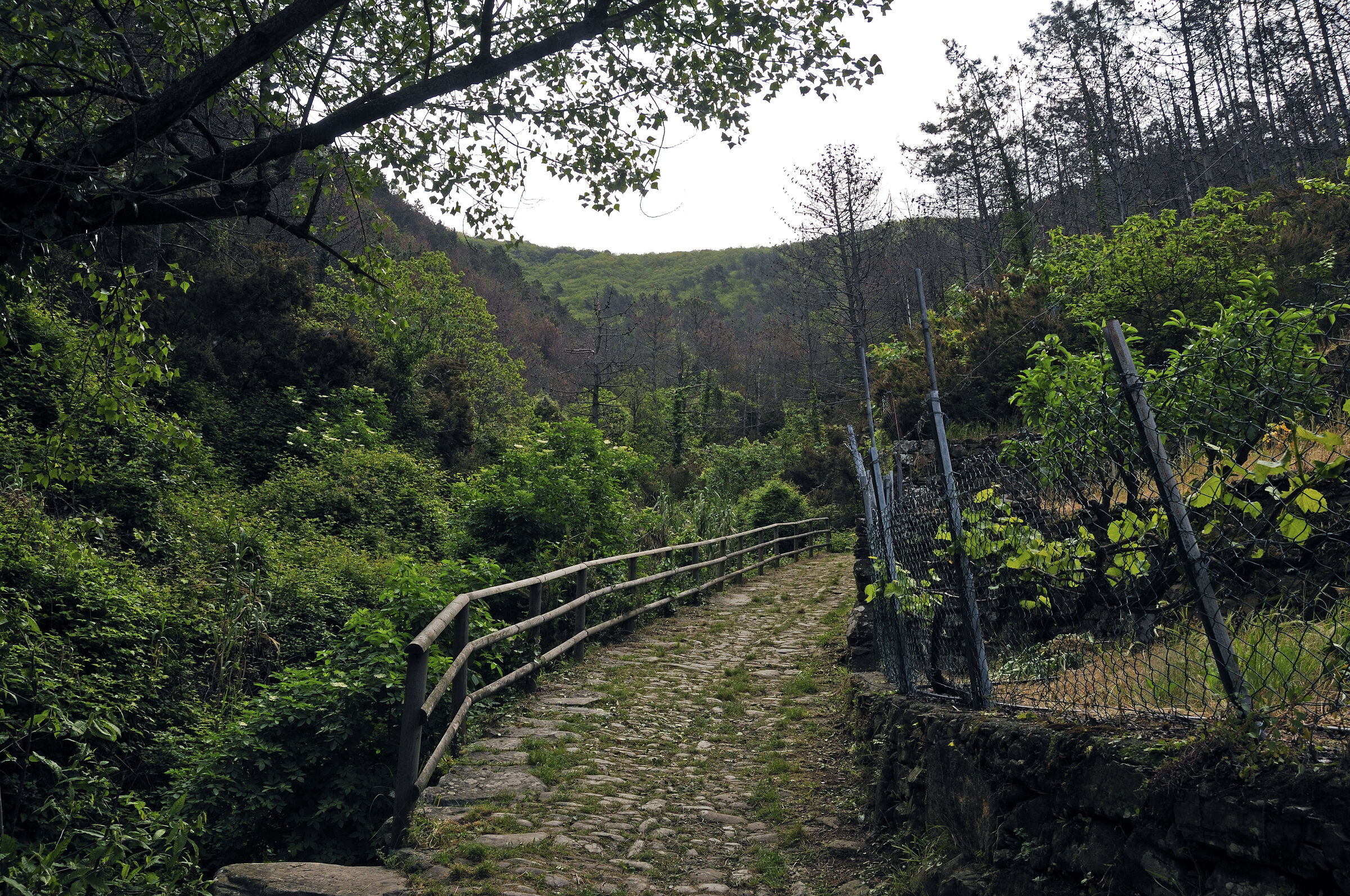 cinque terre - zwischen riomaggiore und porto venere – der auf