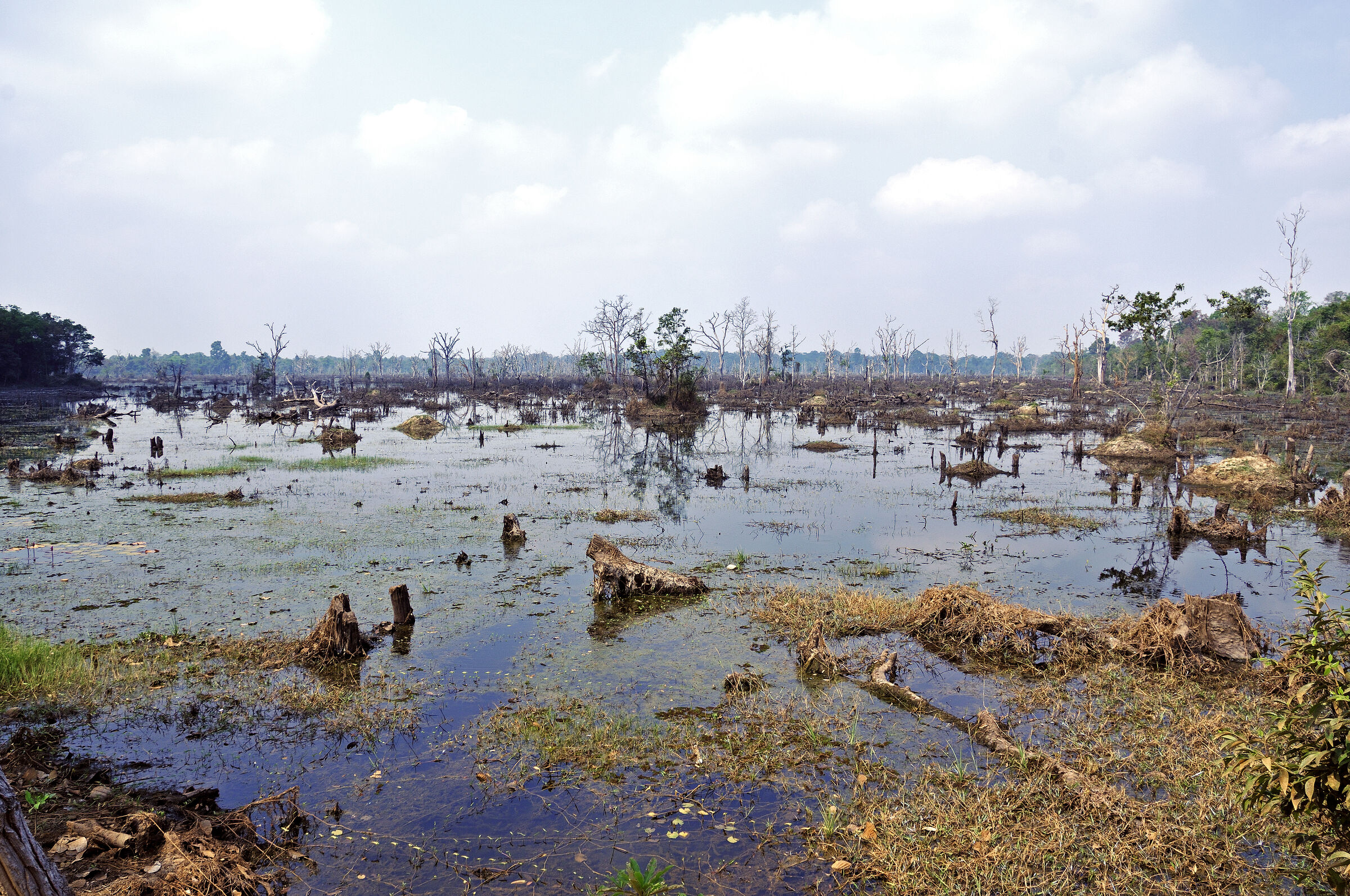 kambodscha - tempel von anghor - - nördlicher baray (09)