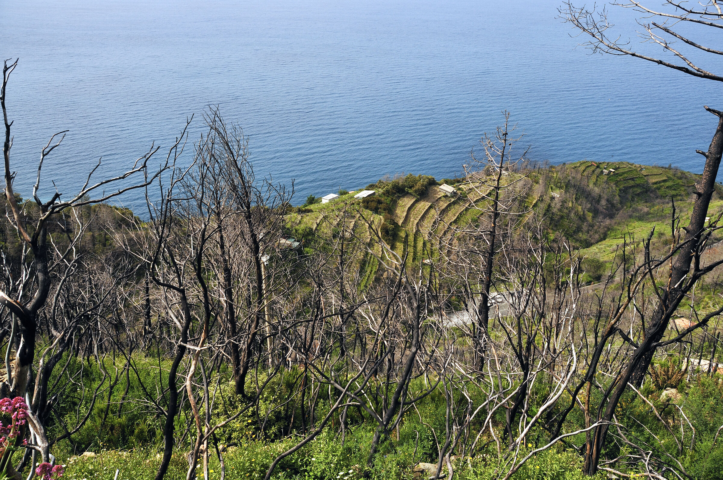 cinque terre - zwischen riomaggiore und porto venere