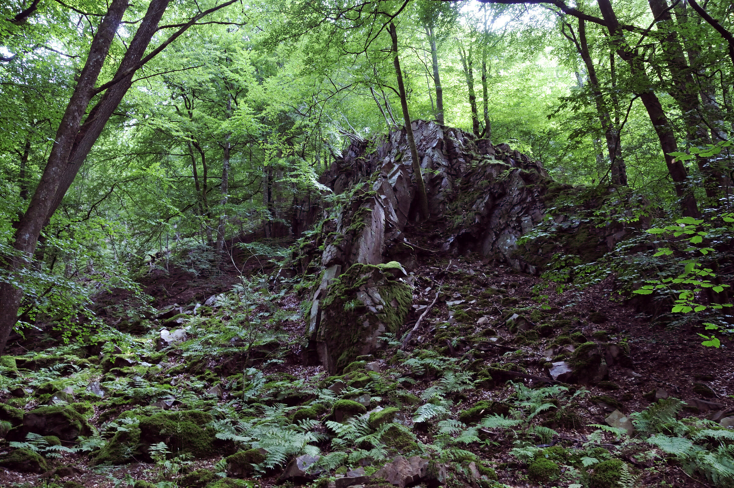 schweden 2017 - (03)