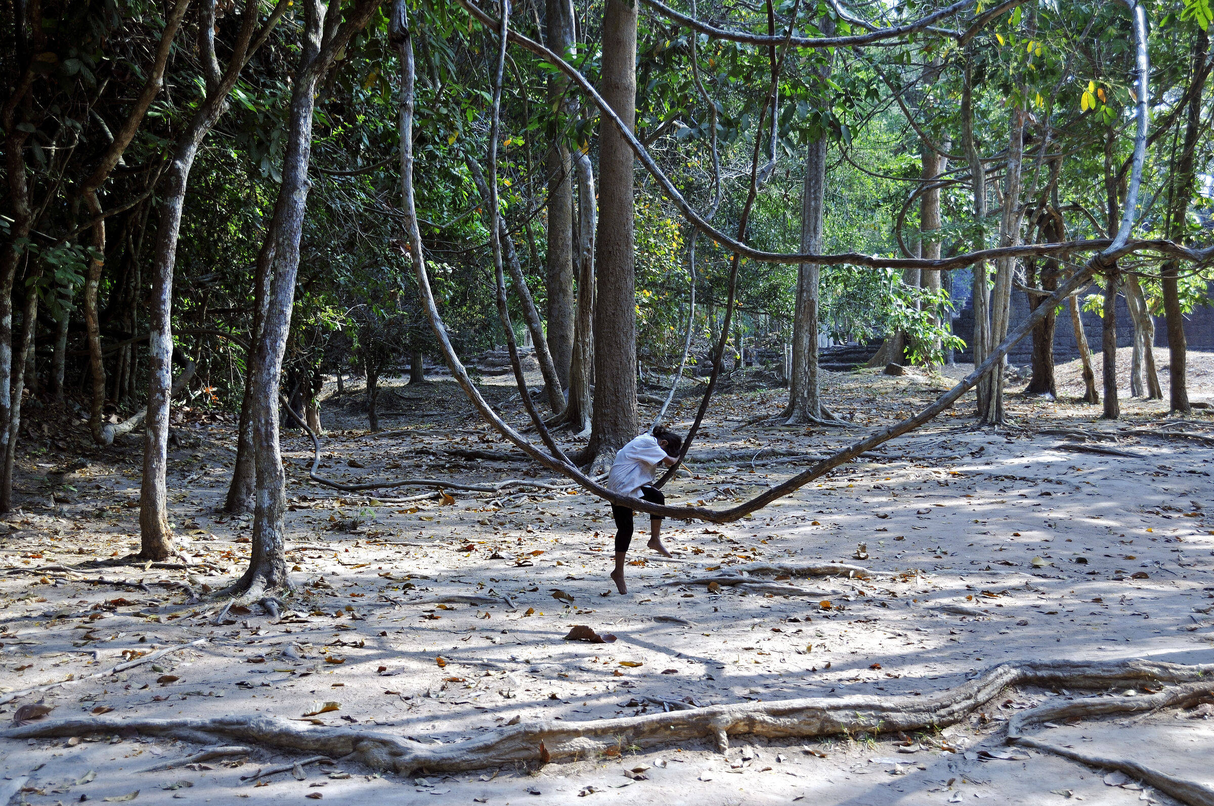 kambodscha - tempel von anghor -preak khan (29)