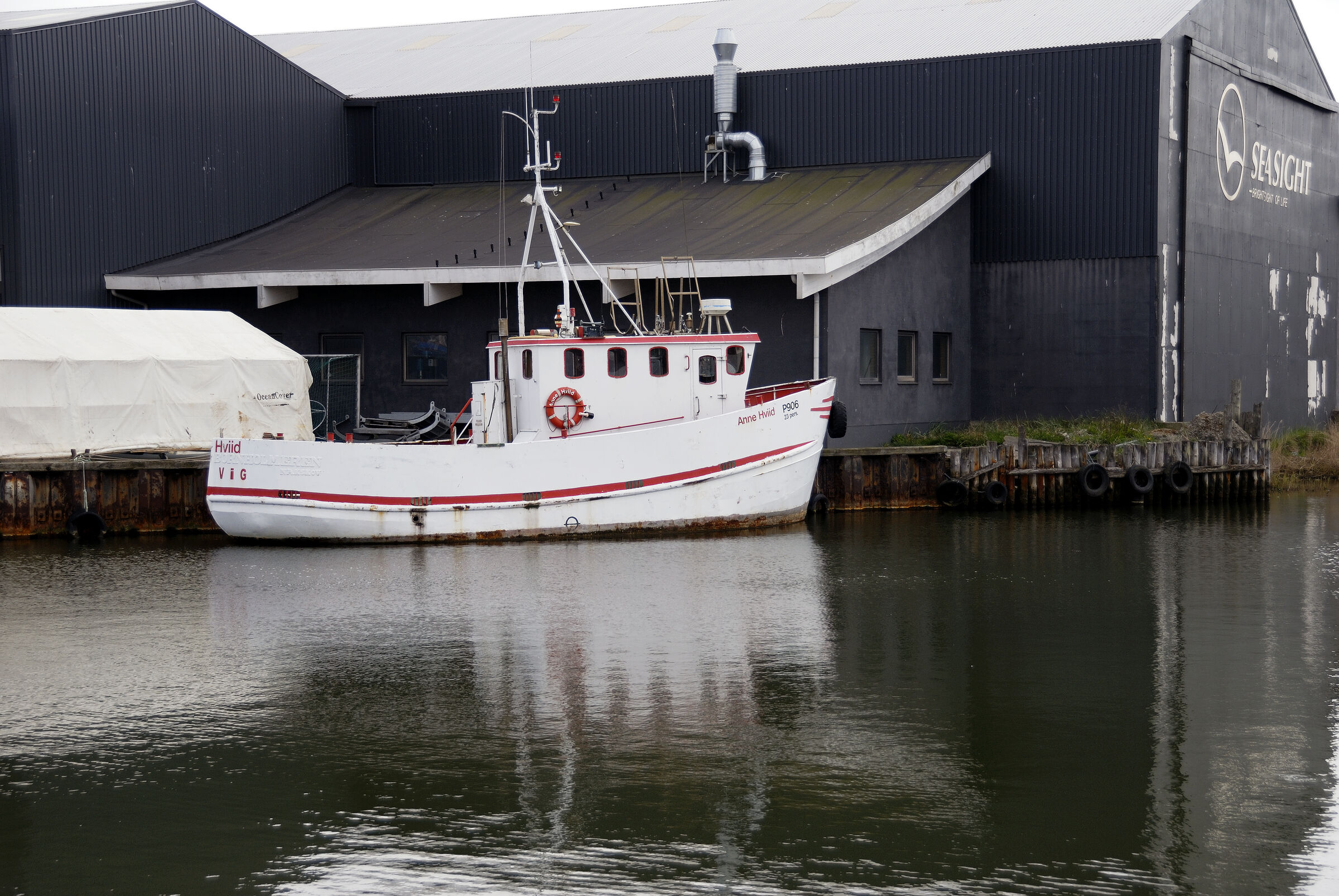 dänemark - ringkobing fjord - hvide sande (02)