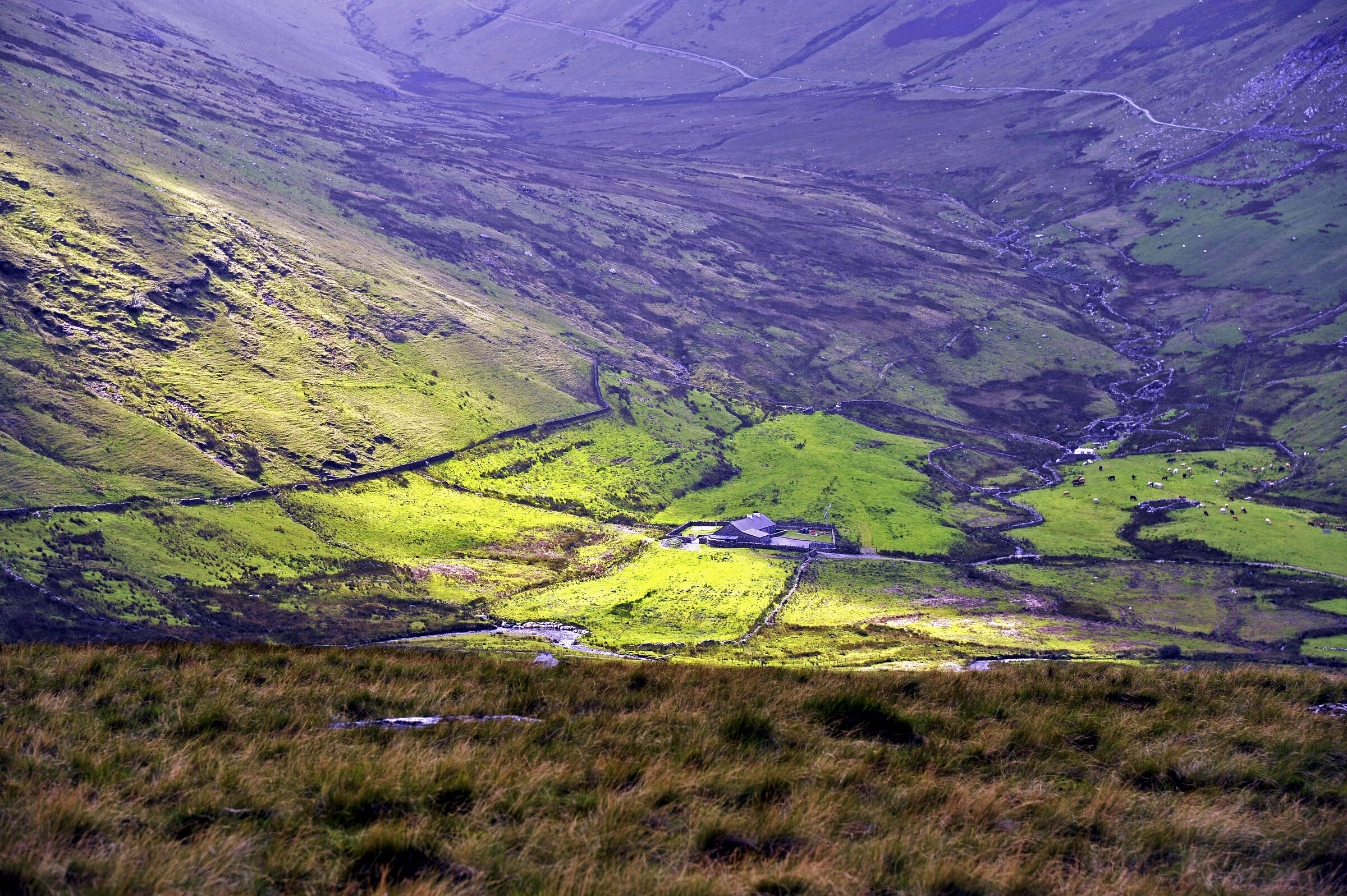 wales – snowdon (14)