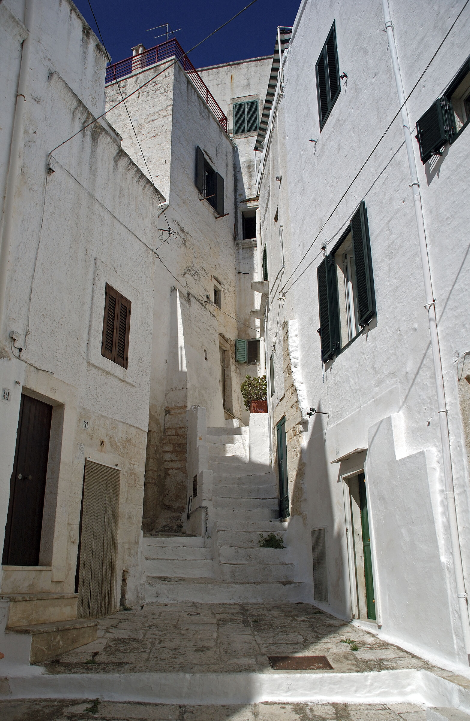salent (6)
