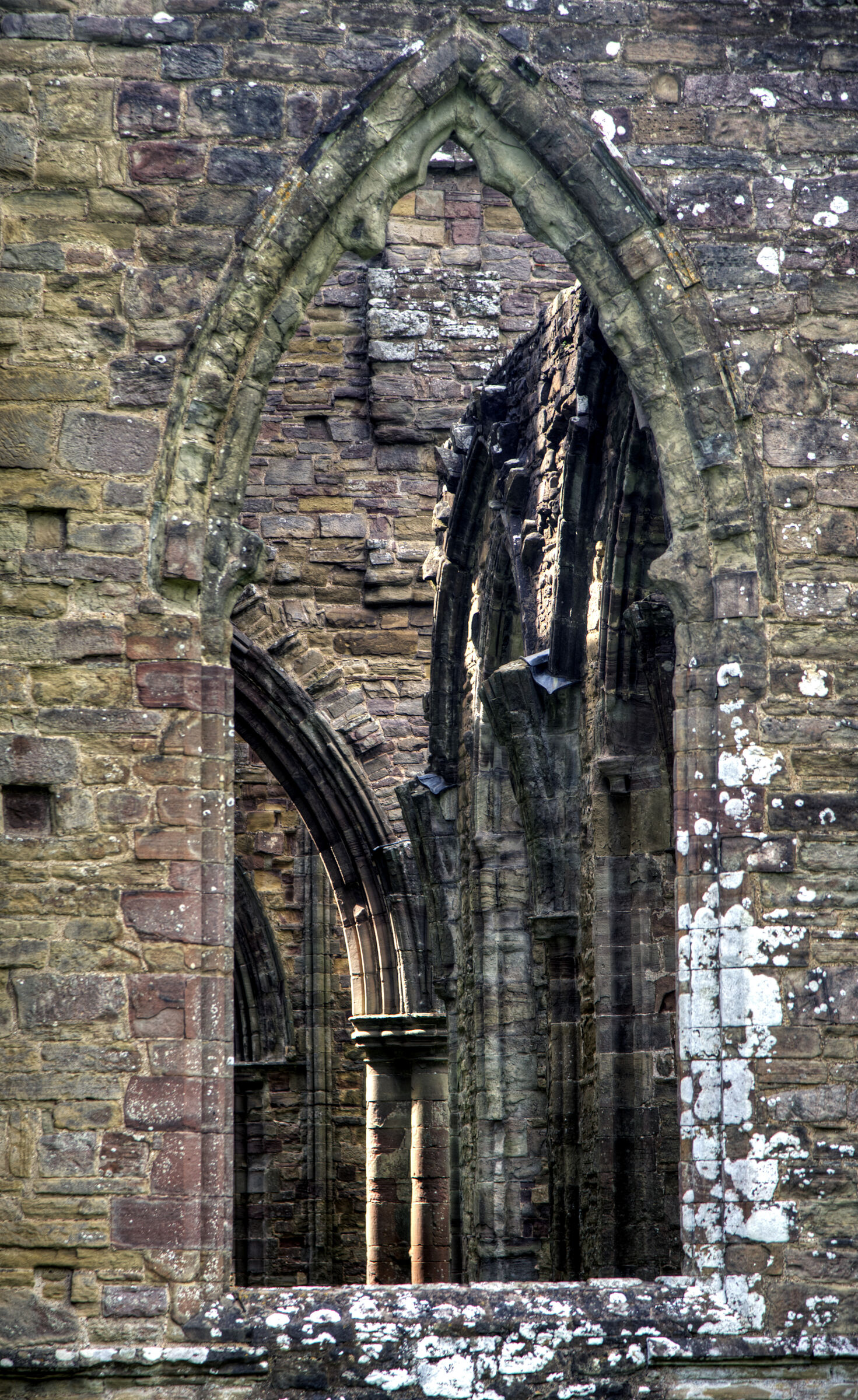 wales – tintern abbey (14)