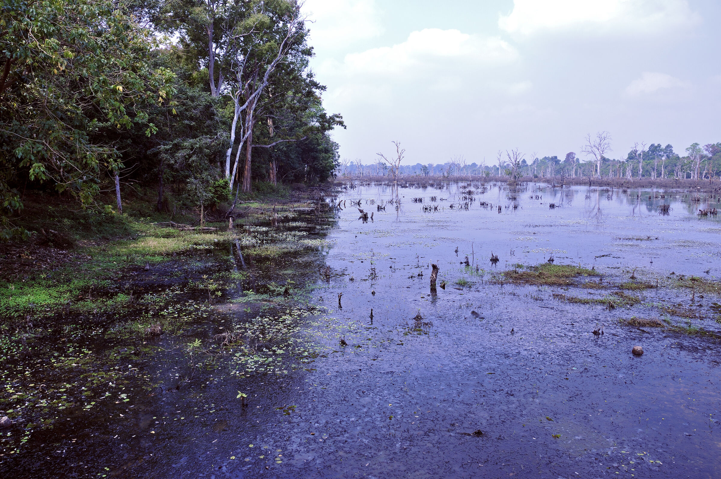kambodscha - tempel von anghor - - nördlicher baray (23)