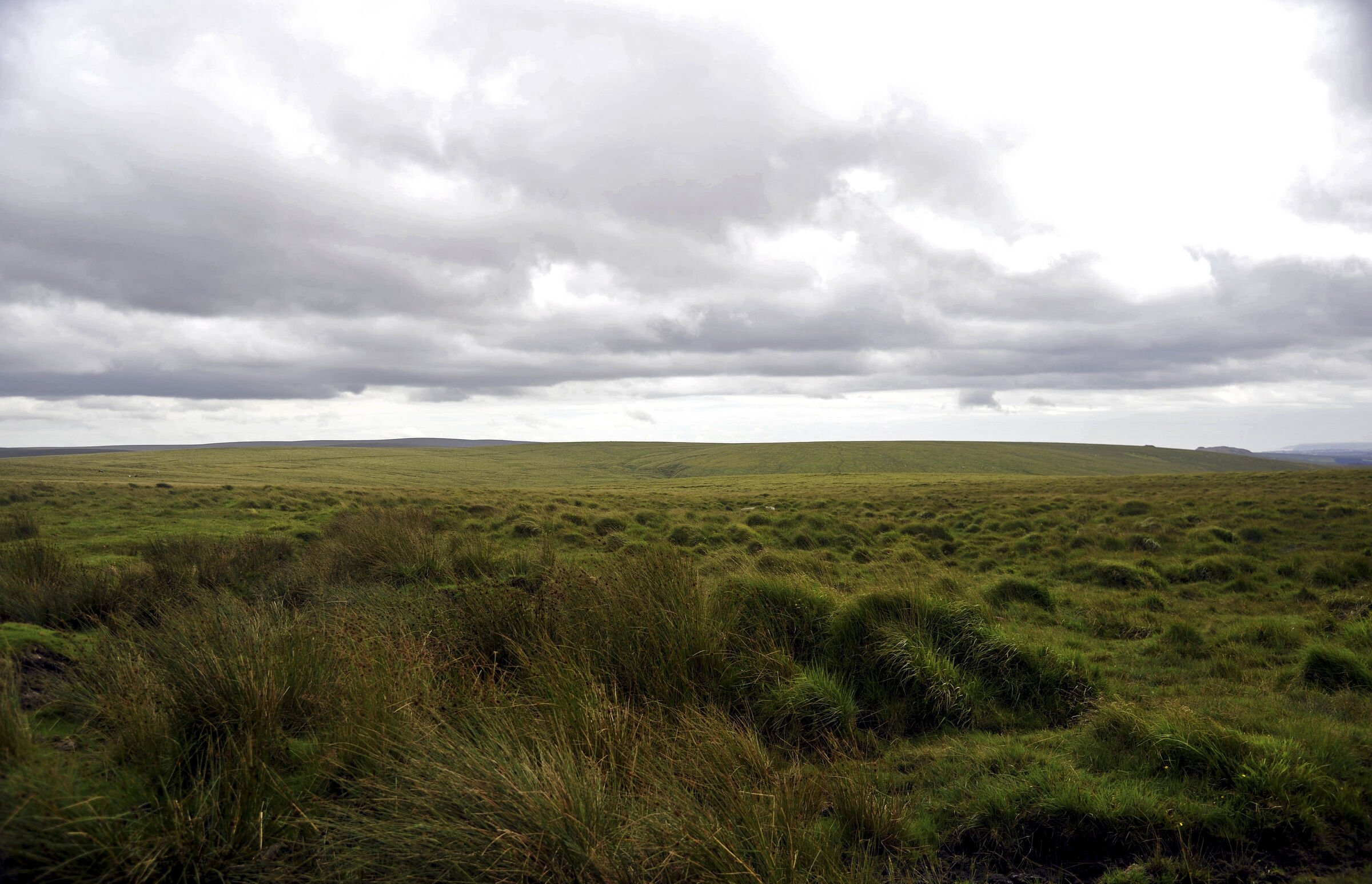 england – dartmoor (03)