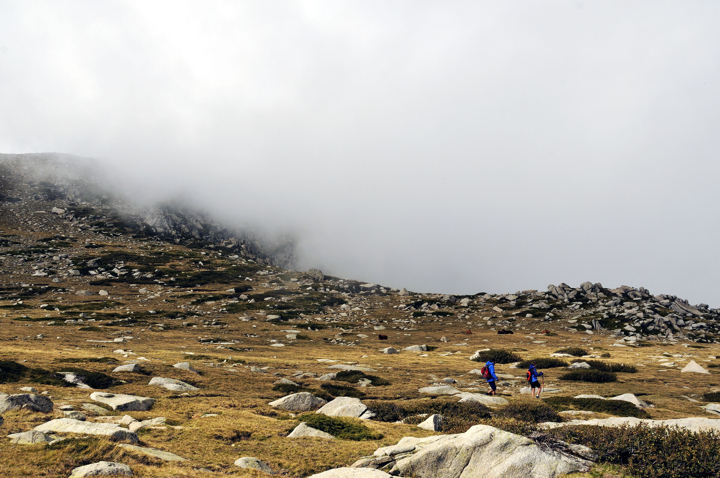 korsika - aufstieg zum monte renoso und dem bastanisee - teil