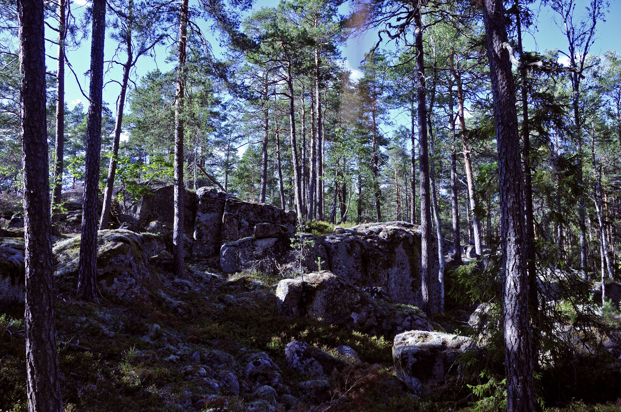 schweden 2017 - (55)