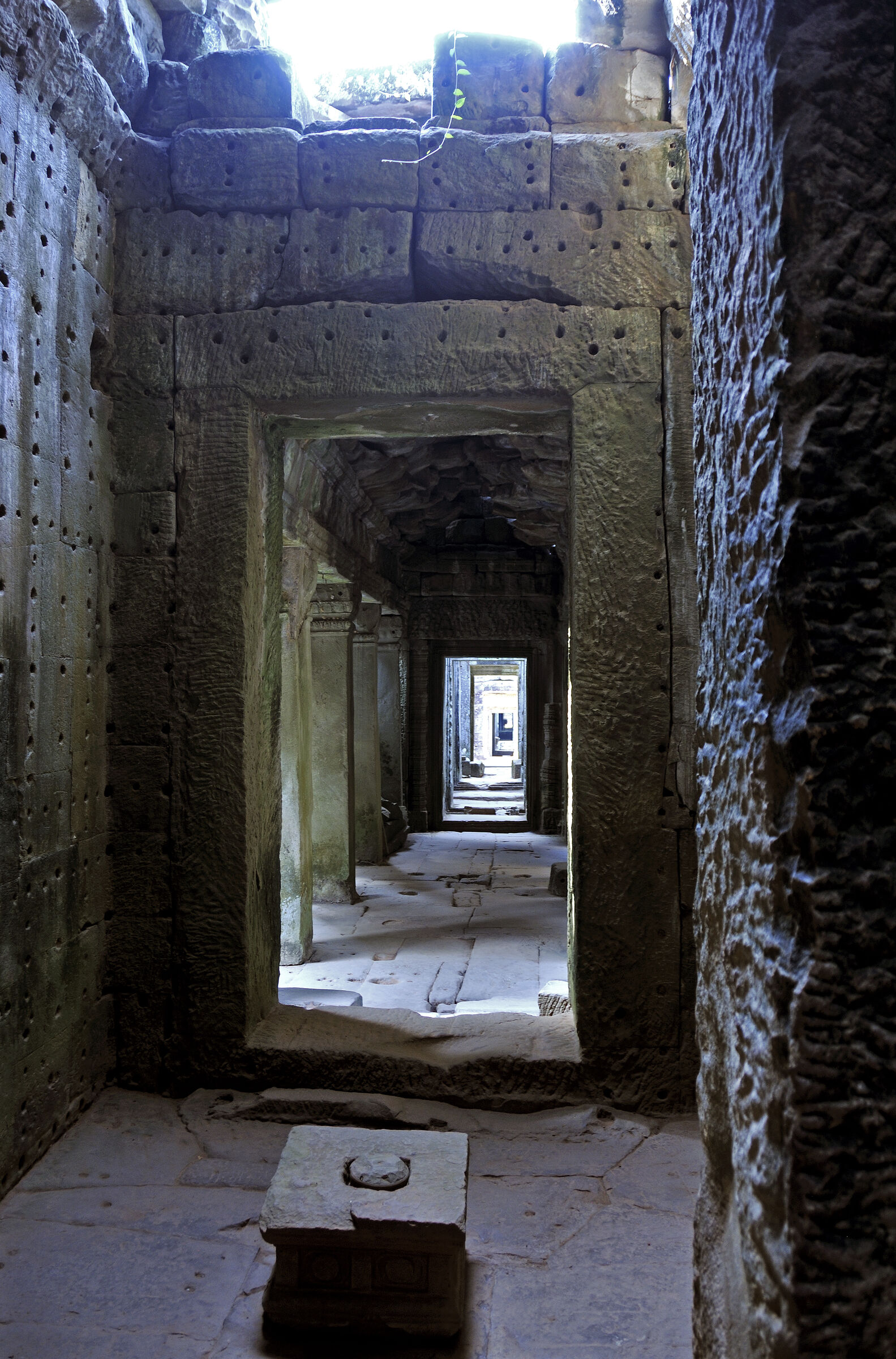 kambodscha - tempel von anghor - preak khan  (46)