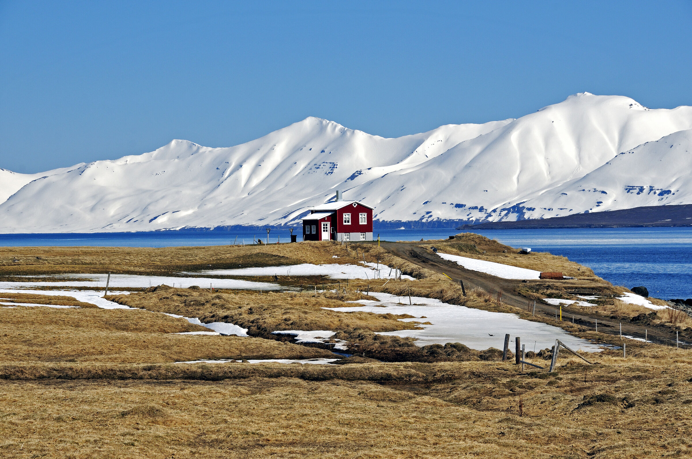 island – eyjafjördur (12)