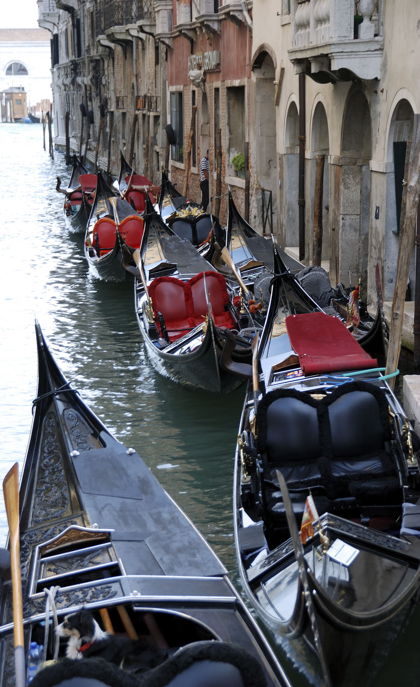 venedig (100) - die gondeln