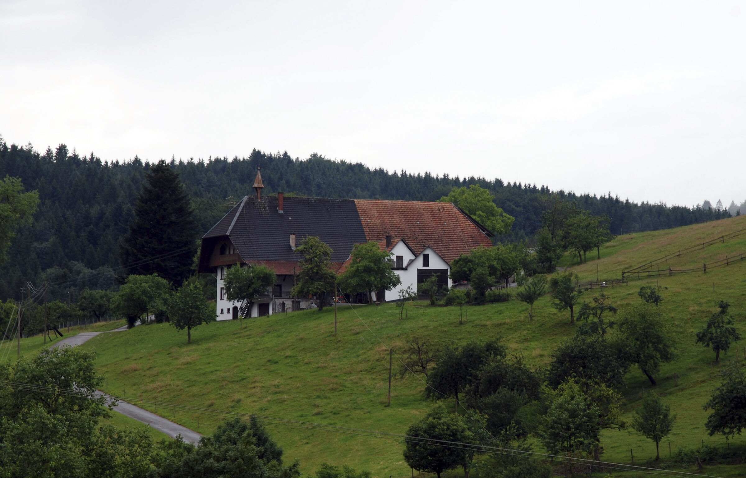 schwarzwald