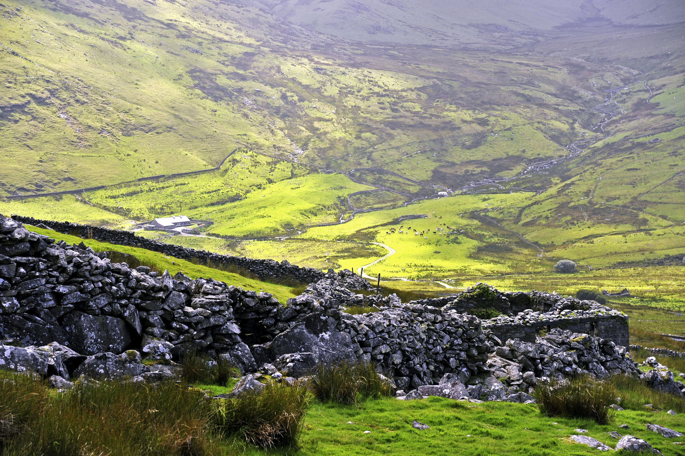 wales – snowdon (16)