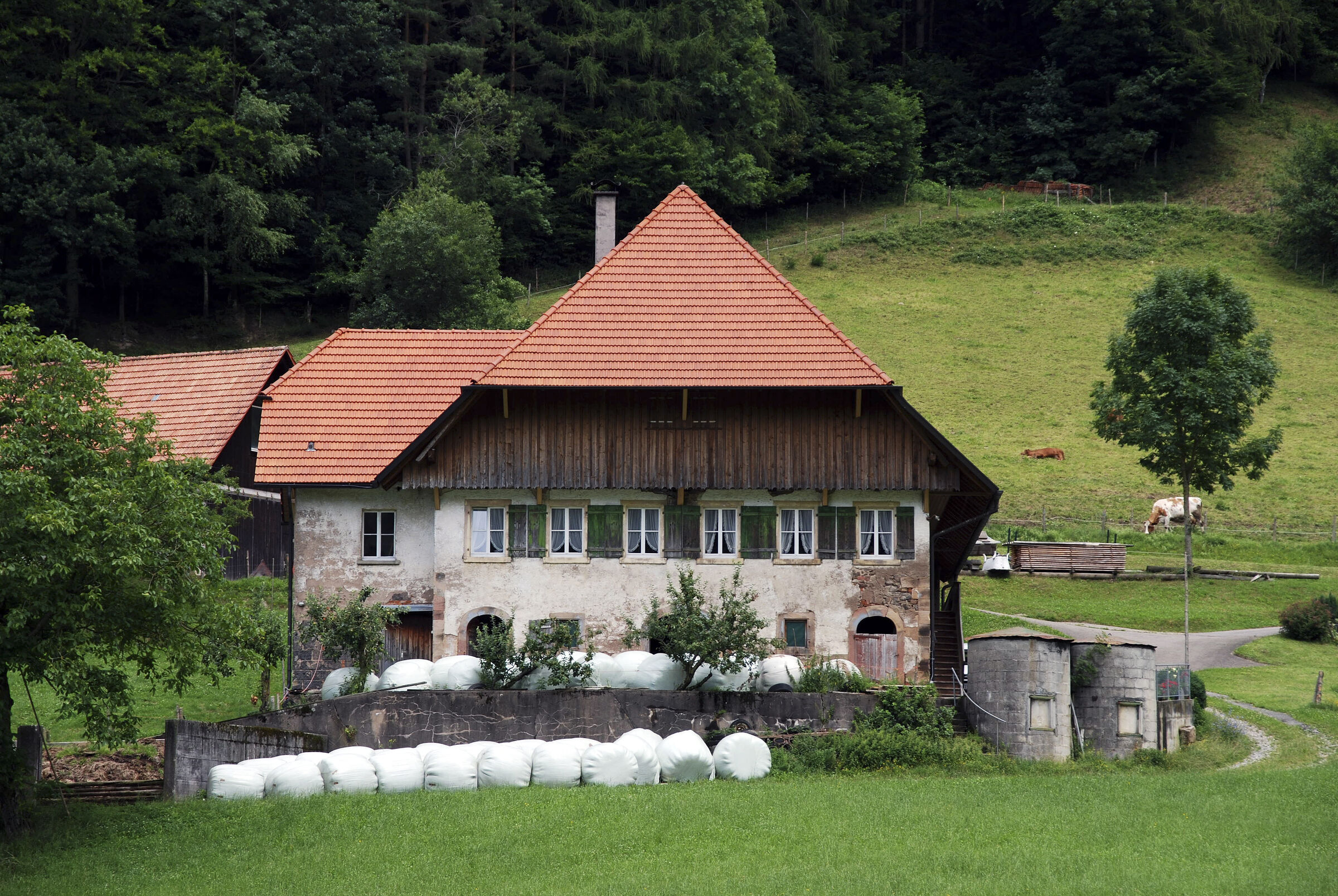 schwarzwald