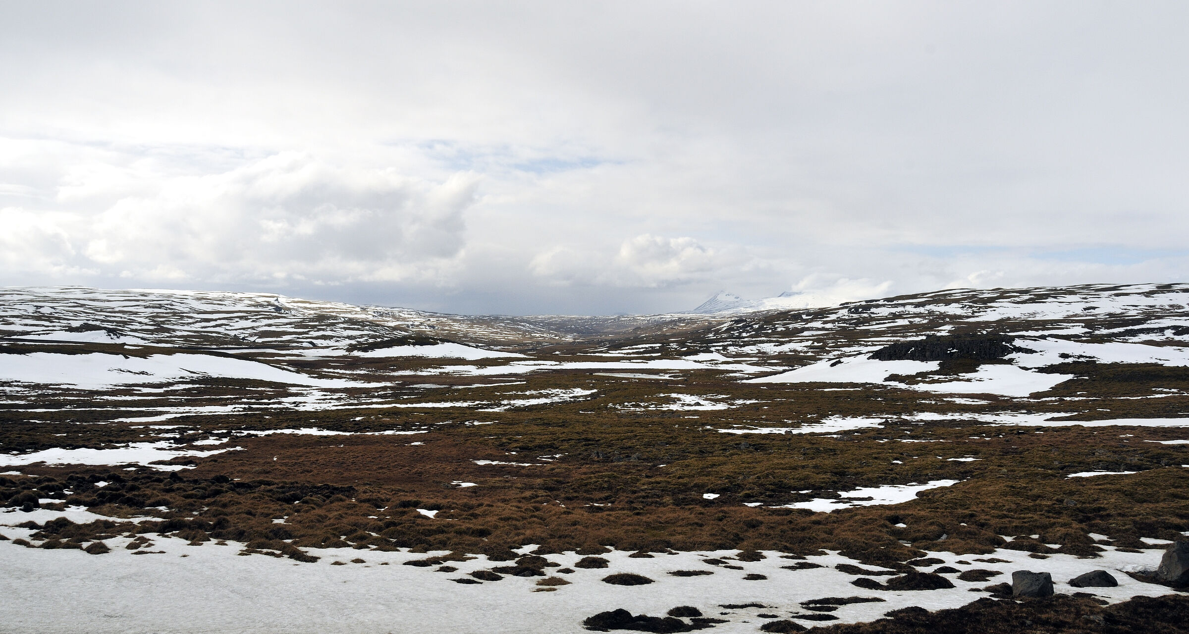 island – zwischen blönduós und borgarnes (06)