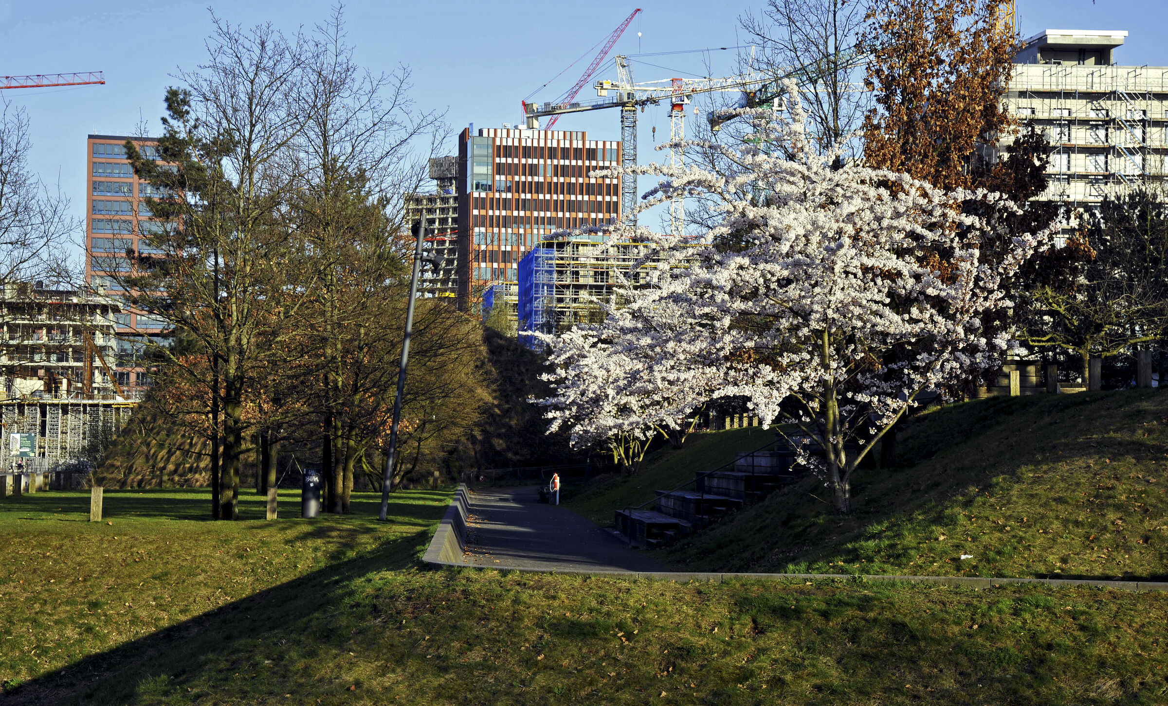 hamburg 2025 - hafencity (14)