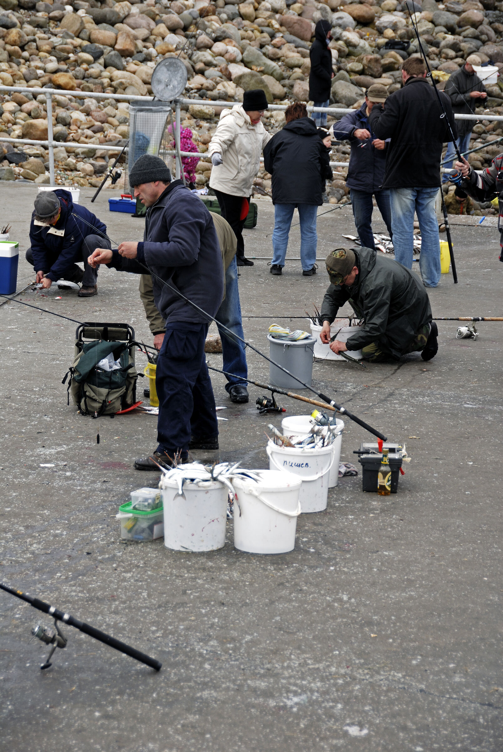 dänemark - ringkobing fjord - hvide sande (23)