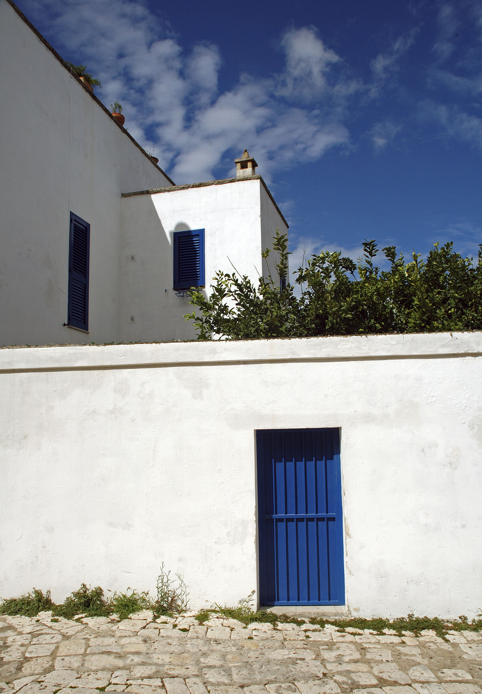 salent (30) - weiß blau