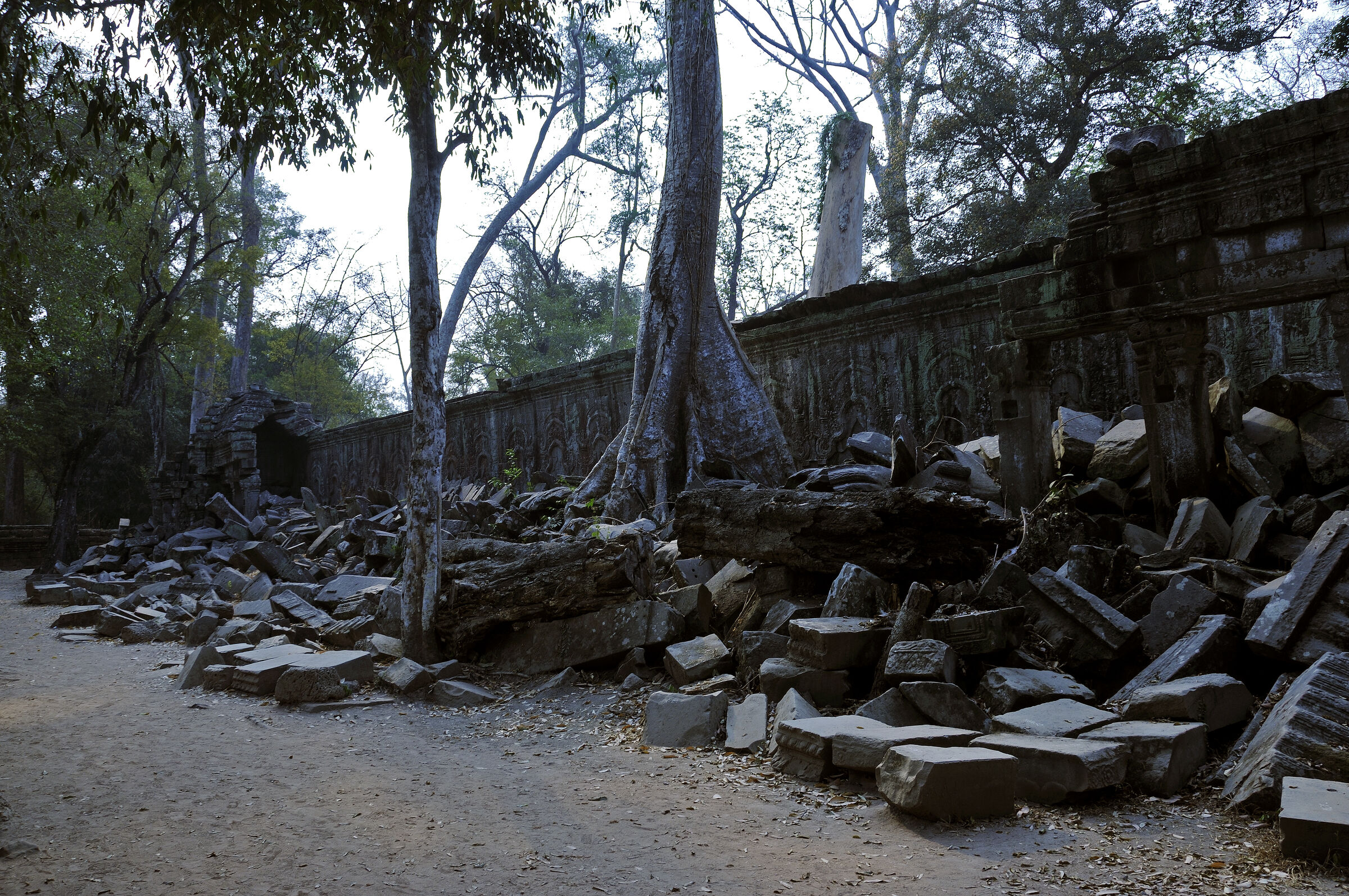 kambodscha - tempel von anghor - ta prohm (17)