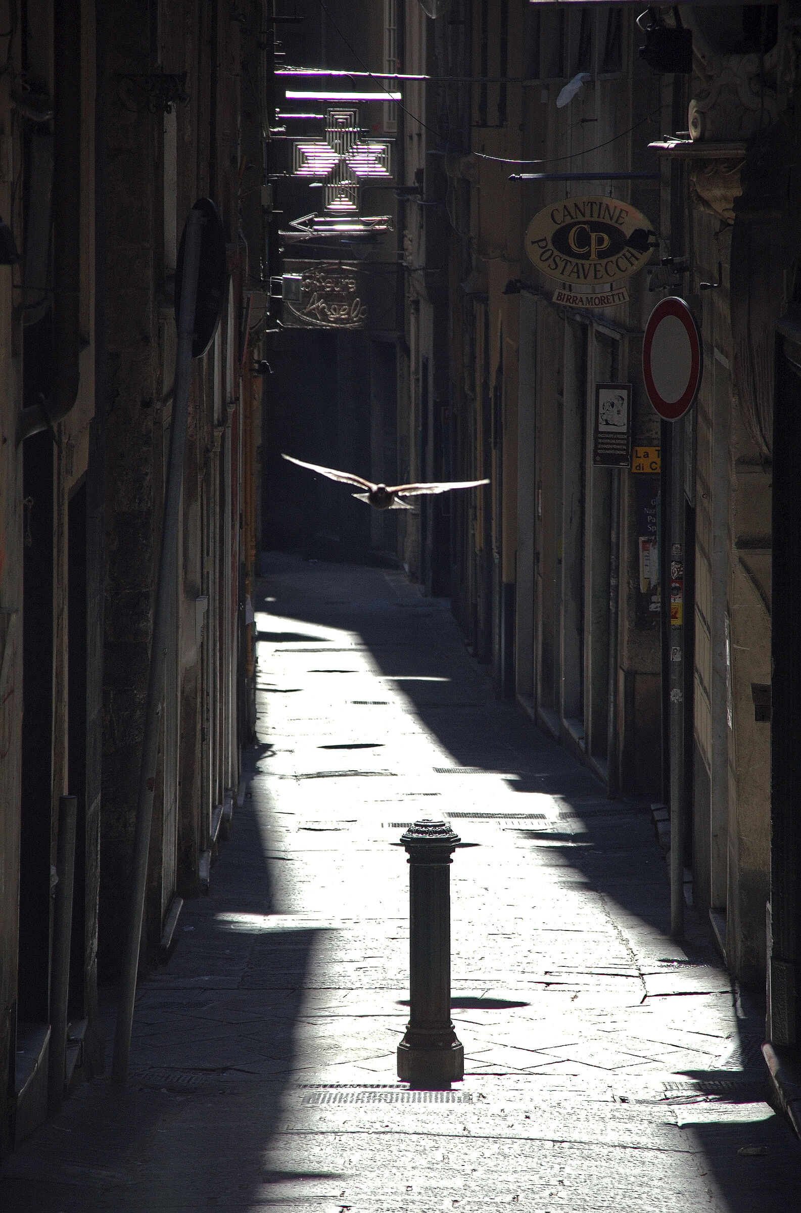 genua (26) - im anflug