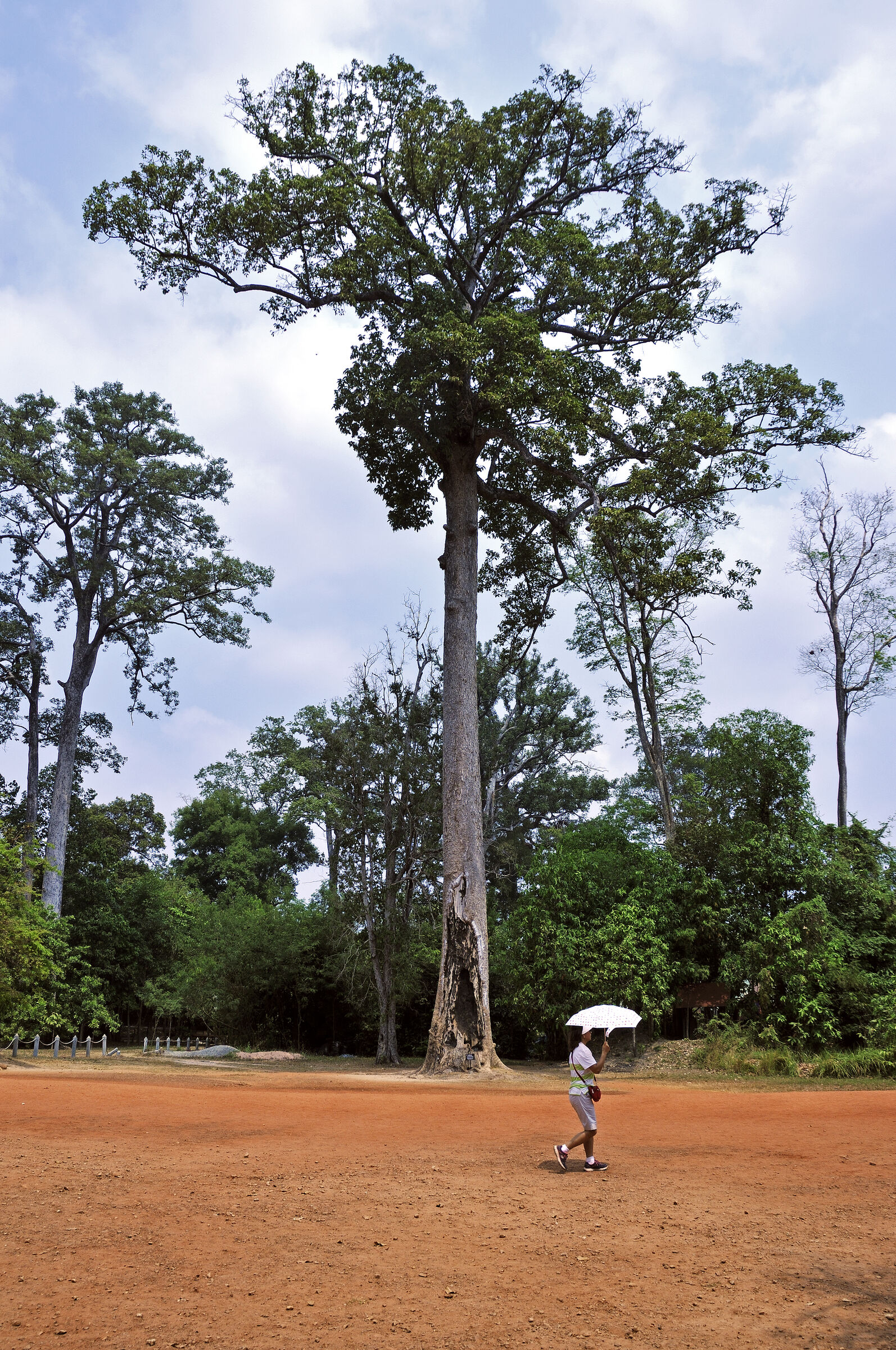 kambodscha - tempel von anghor - banteay srei (01)