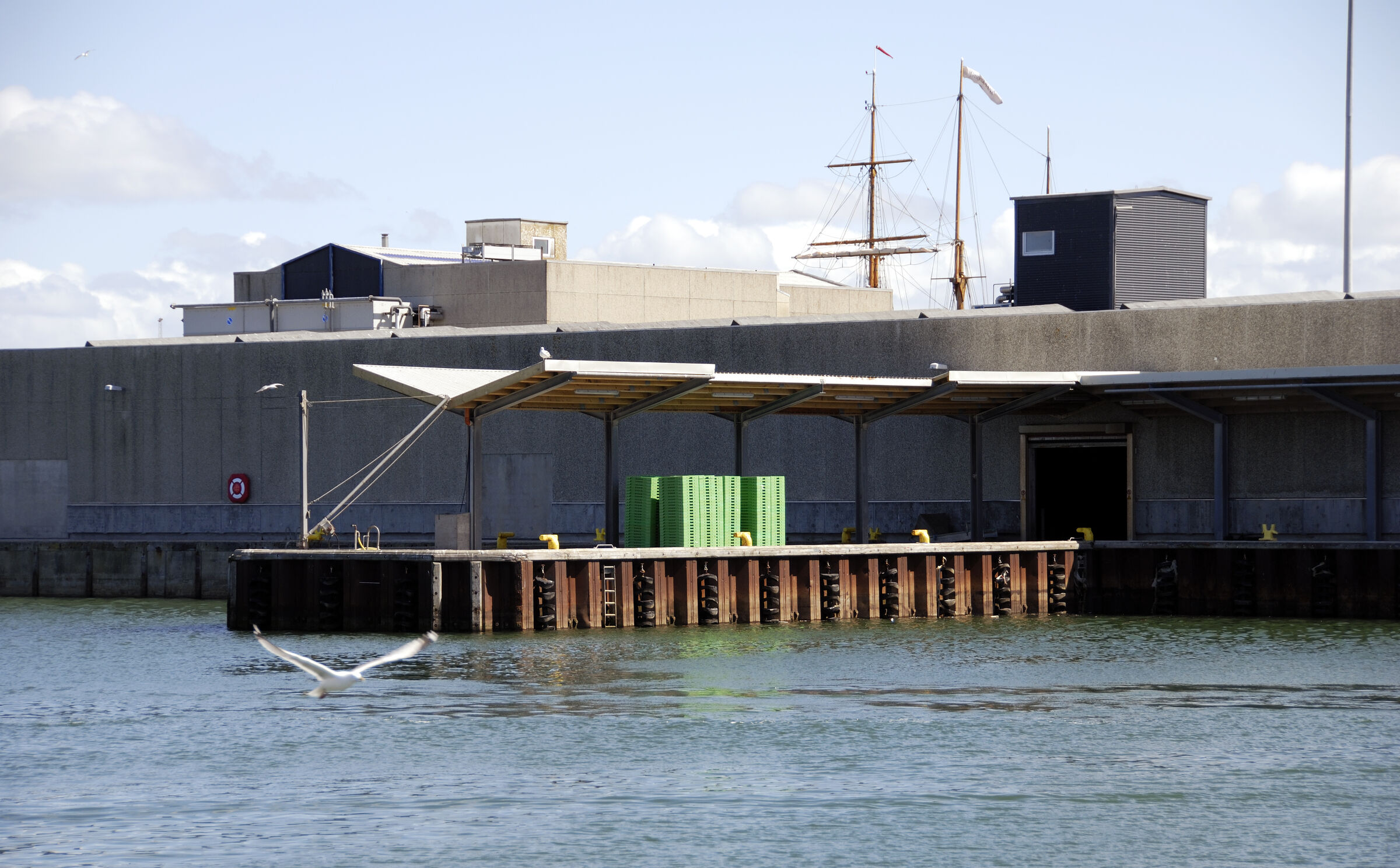 dänemark - ringkobing fjord - hvide sande (11)