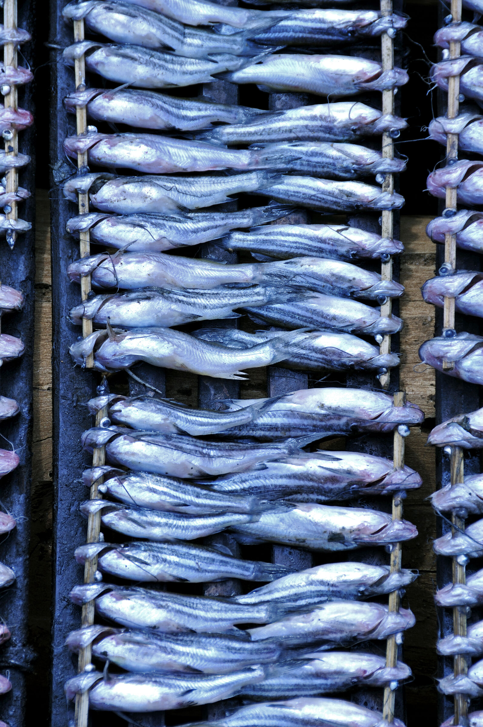 siem reap (71) – kampong khleang