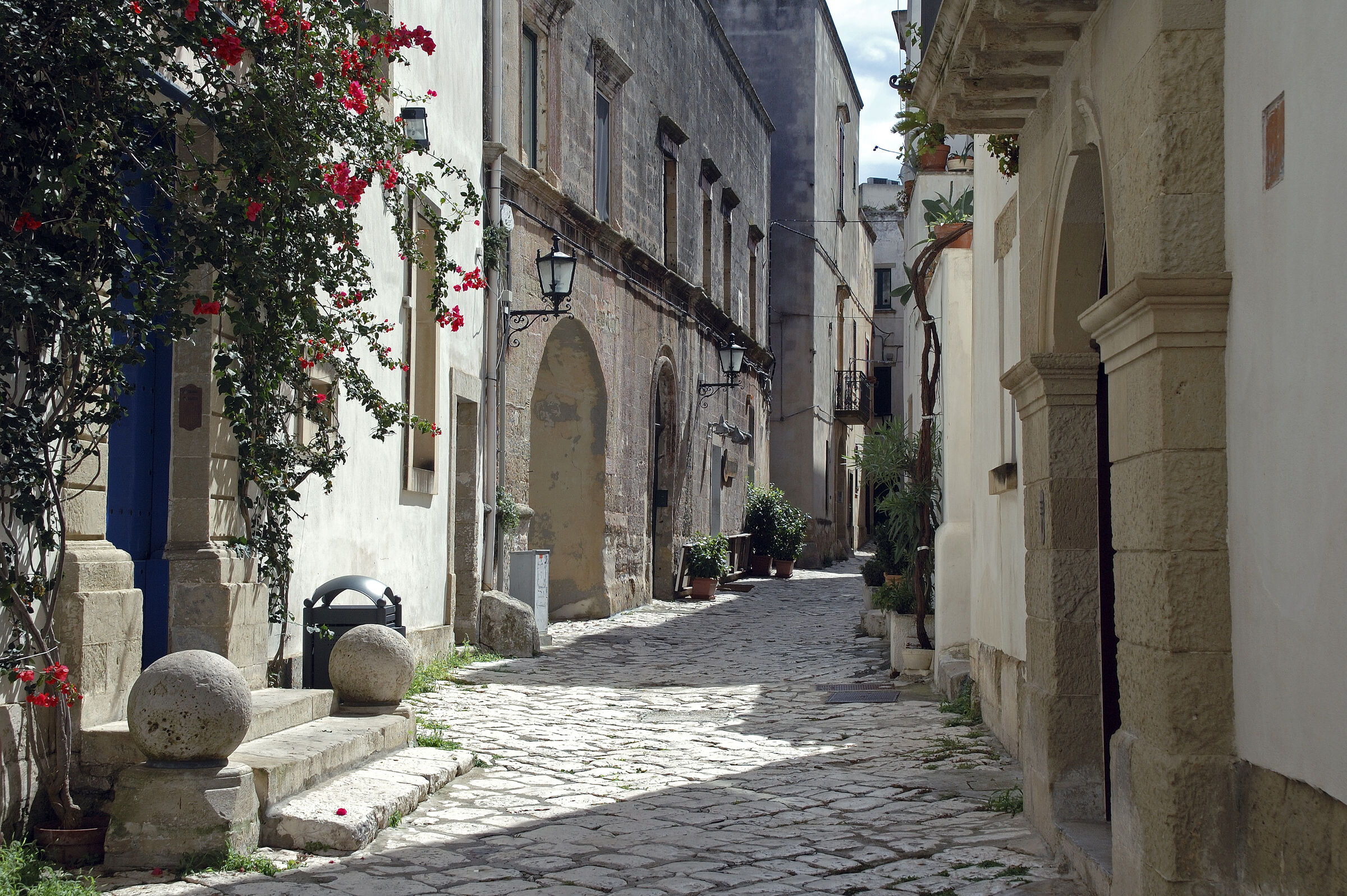 salent (29)