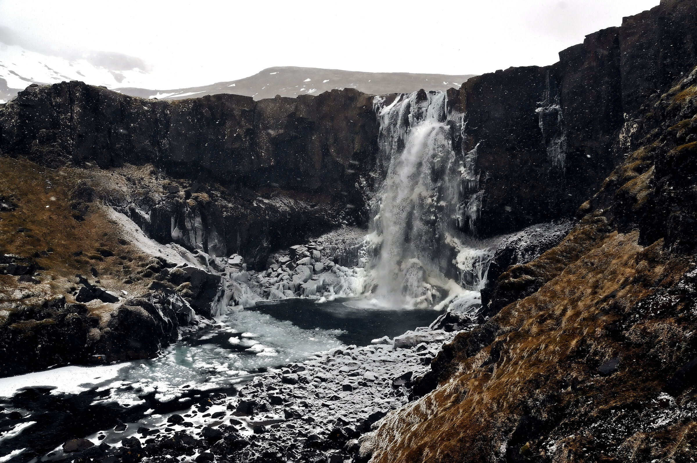 island – zwischen egilsstaðir und seyðisfjörður (7)