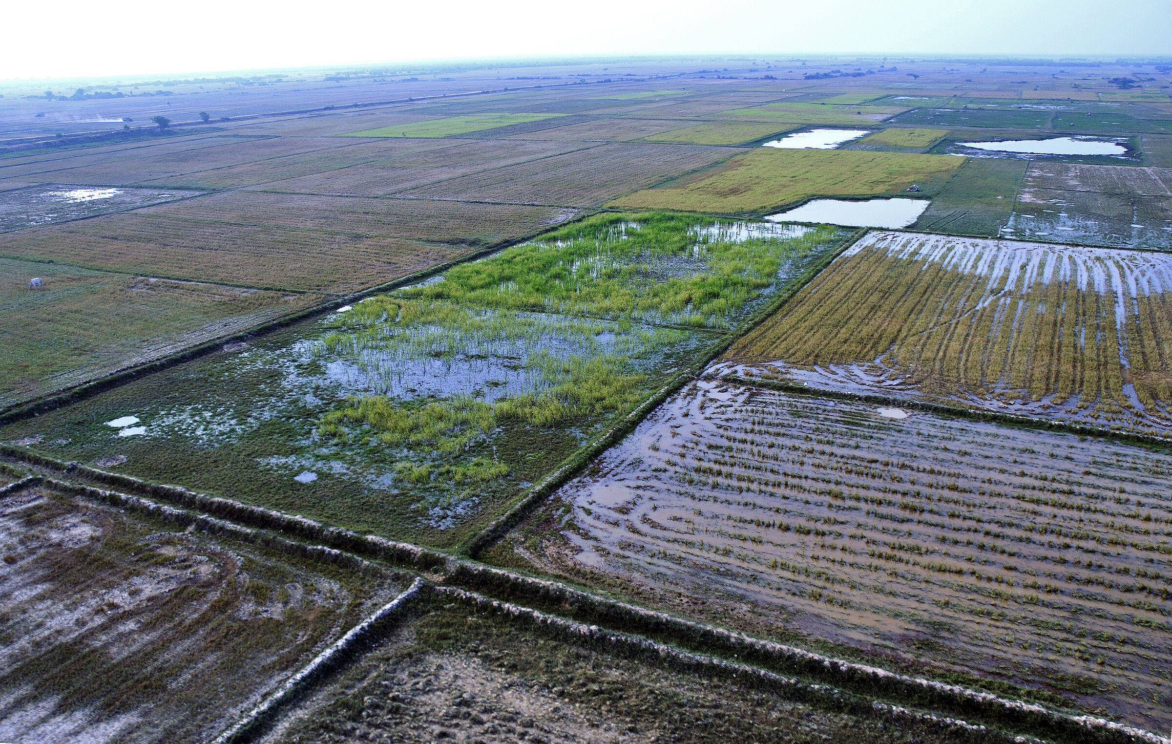kambodscha - flug über siem reap (77)