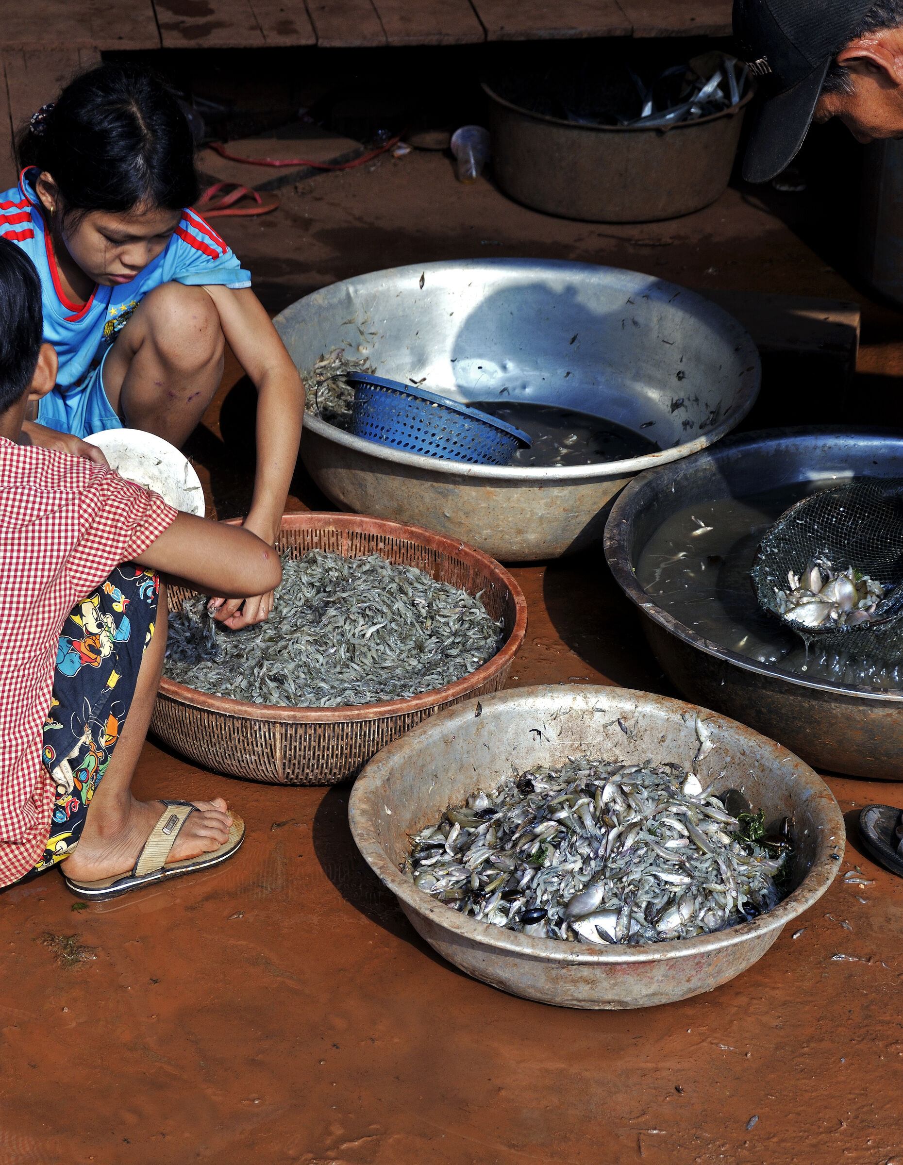 siem reap (20) – unterwegs