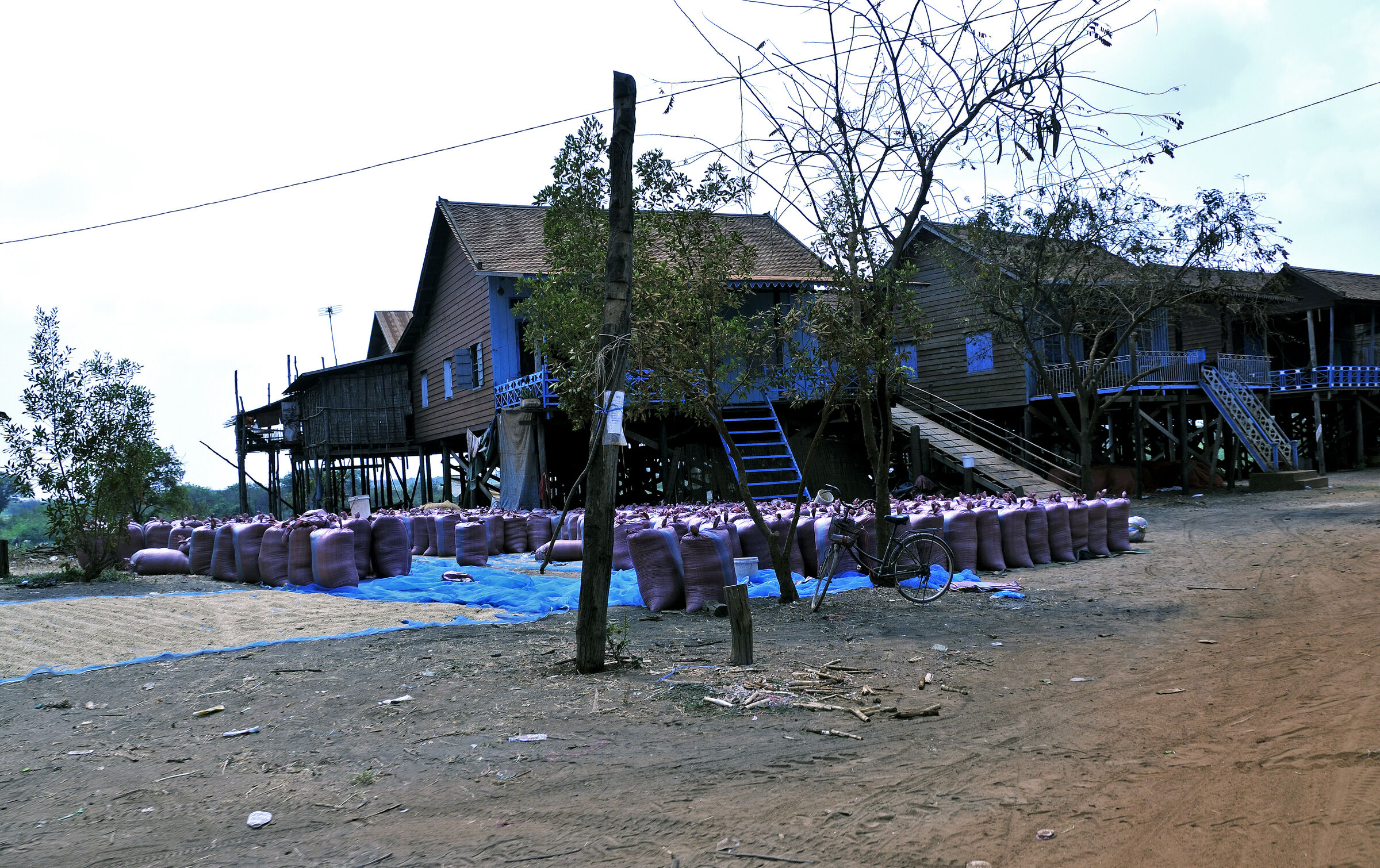 siem reap (21) - unterwegs