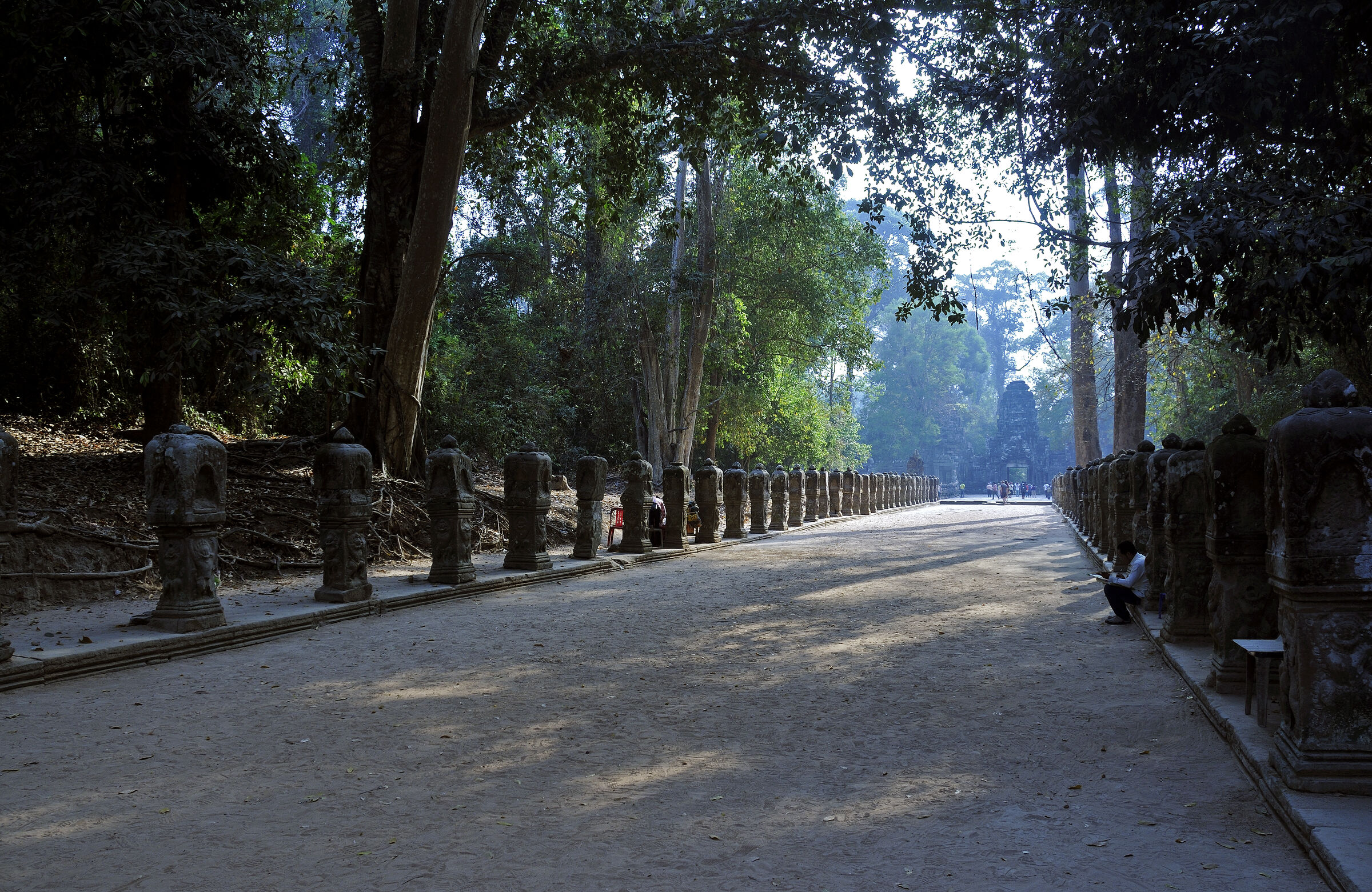 kambodscha - tempel von anghor - preak khan (04)