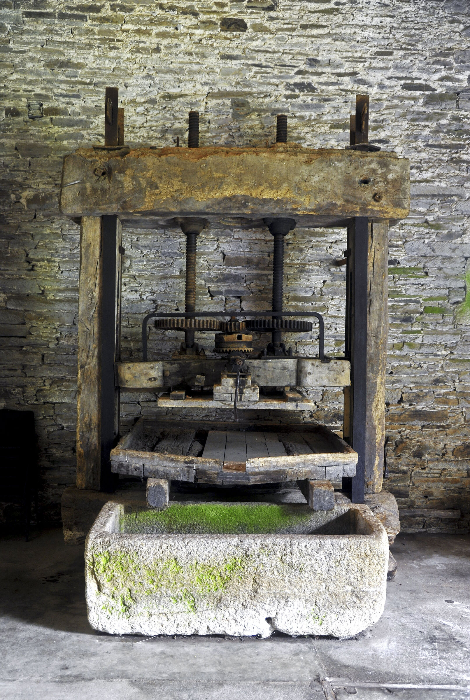 england – buckland abbey (02)